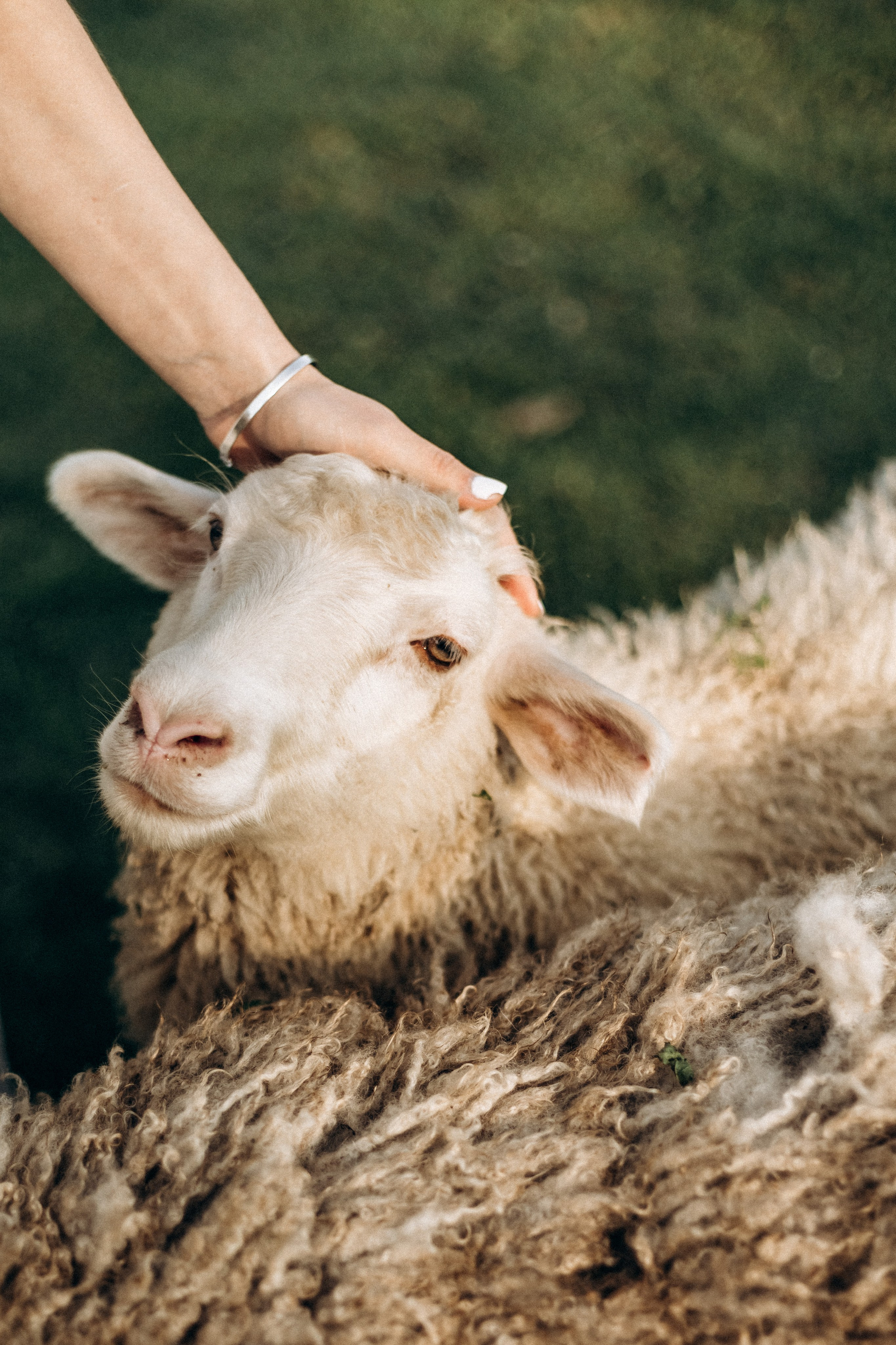 Виктория & Дмитрий. Семейный фотограф Беларуси Юлия Барейша