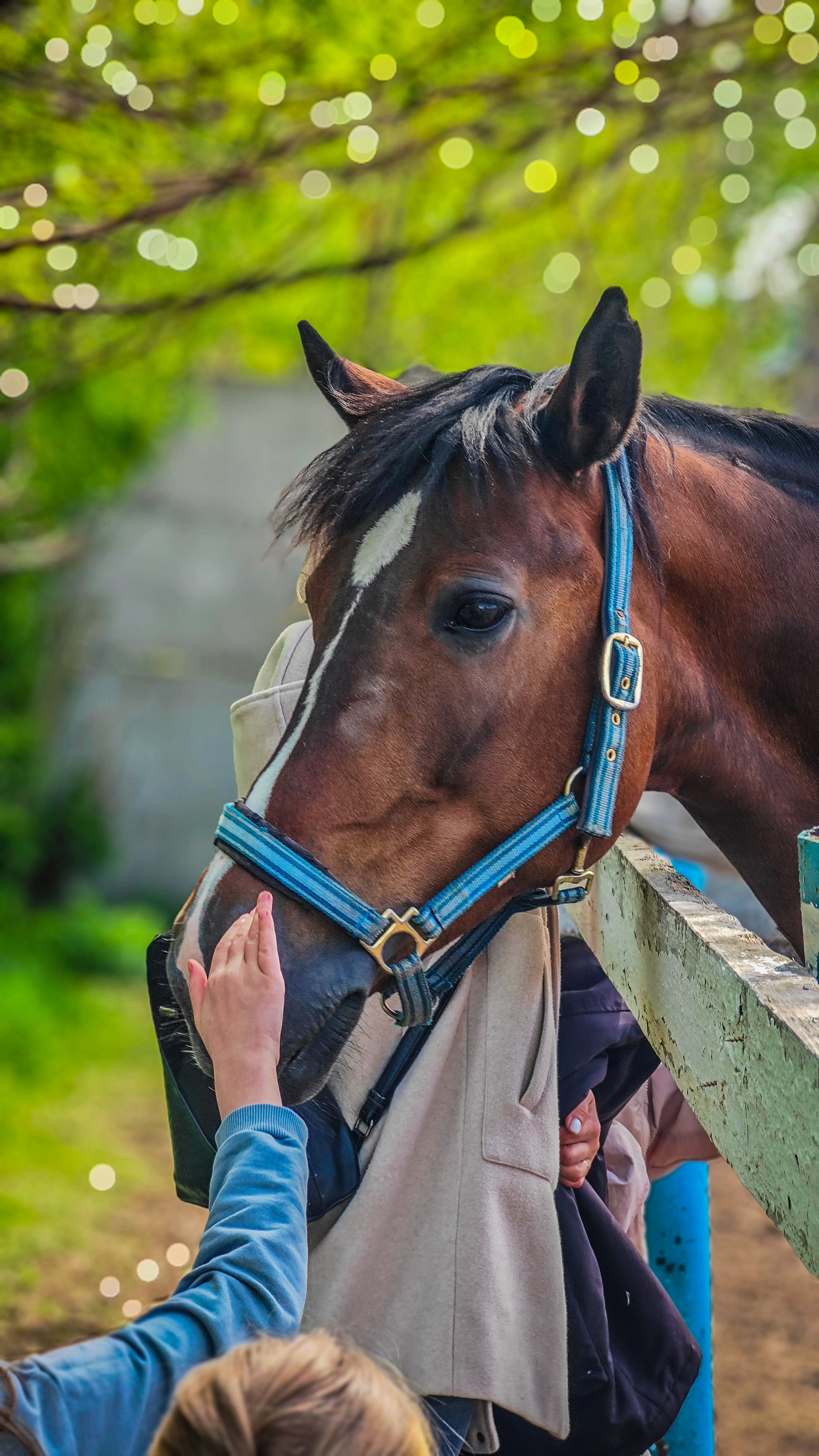 Красноярский ипподром. Открытие сезона 2025. Игорь Урывский. Фотограф Красноярск