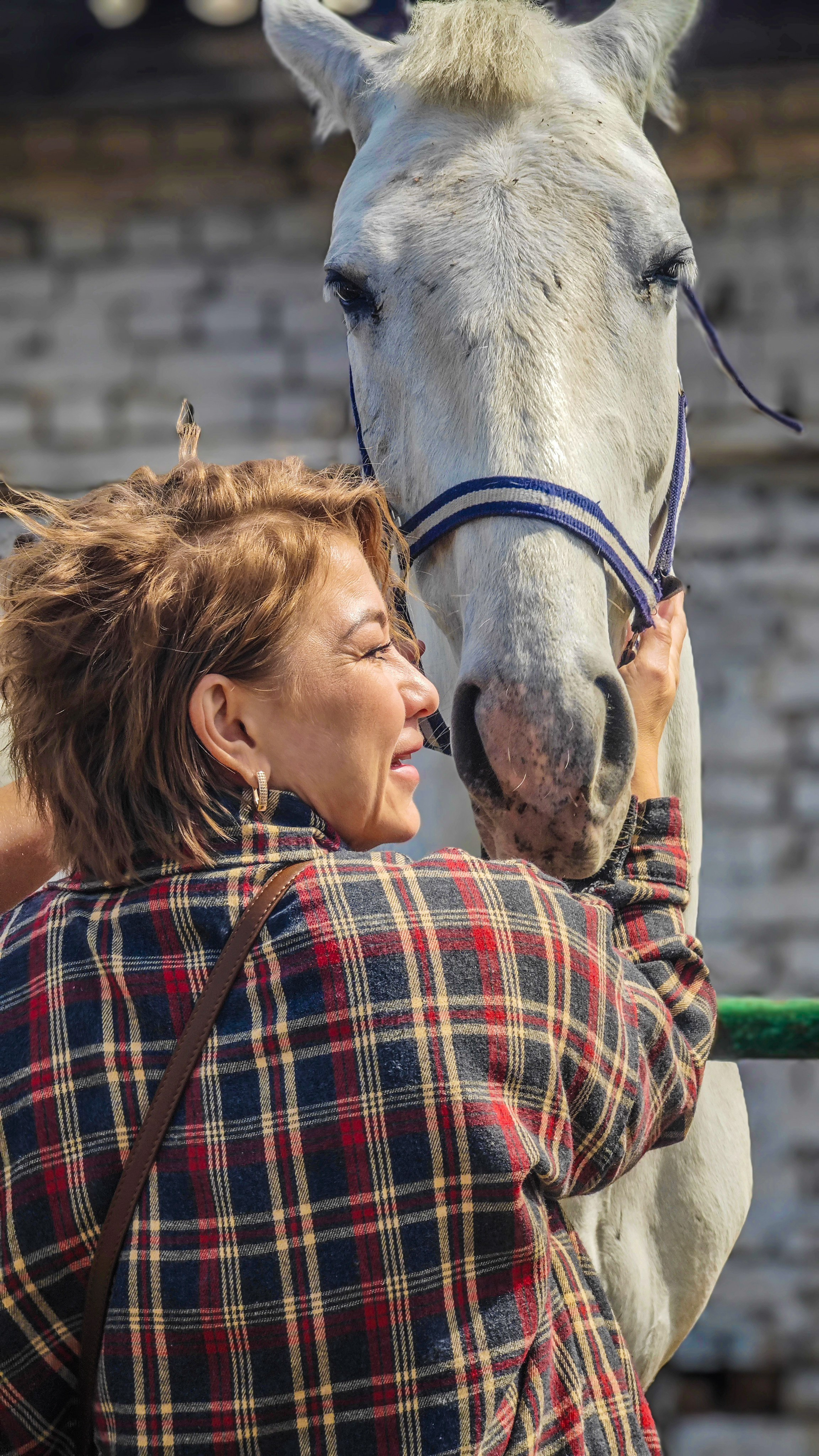 Красноярский ипподром. Открытие сезона 2025. Игорь Урывский. Фотограф Красноярск
