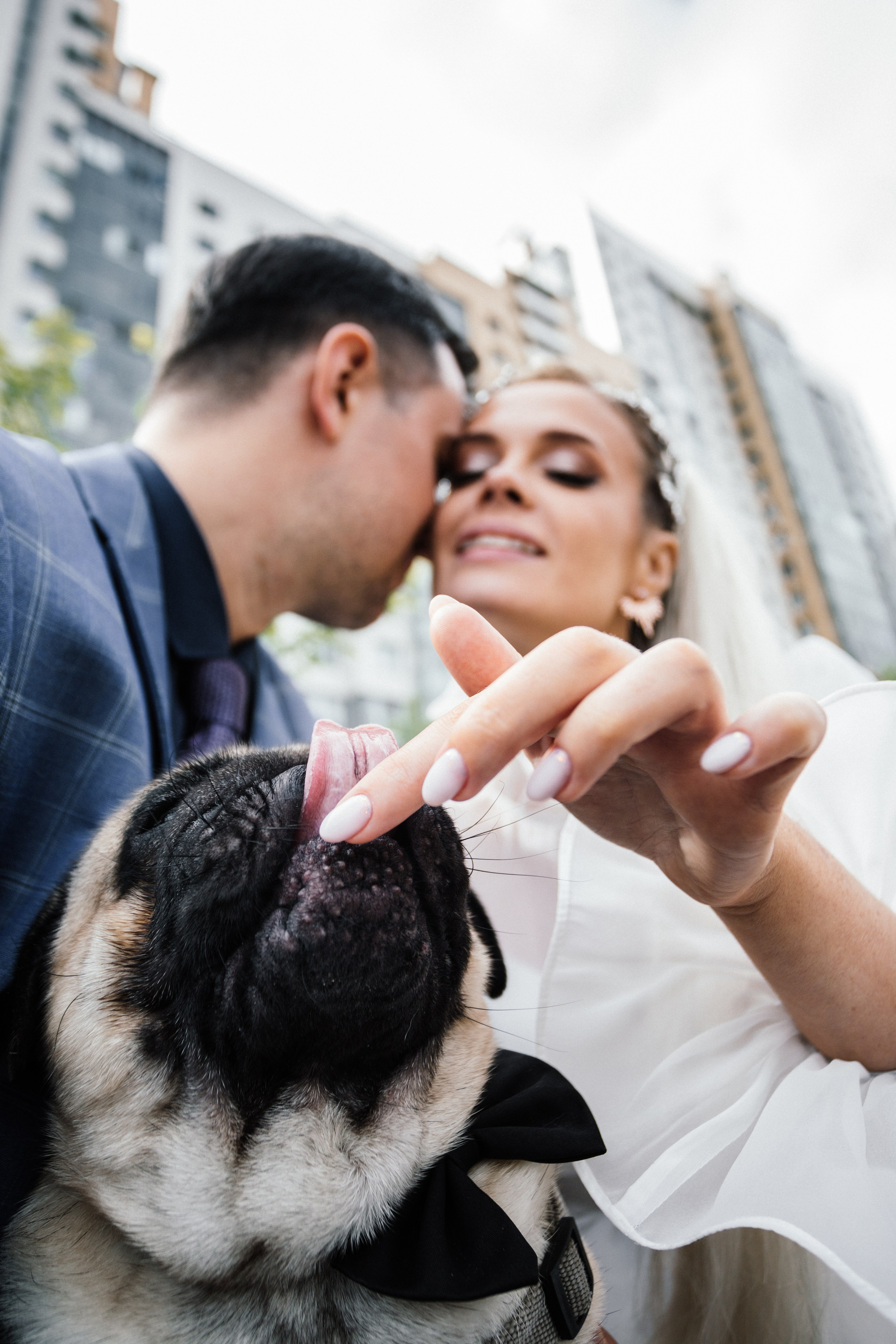Ольга и Алексей. Свадебный фотограф в Санкт-Петербурге Анастасия Андреева