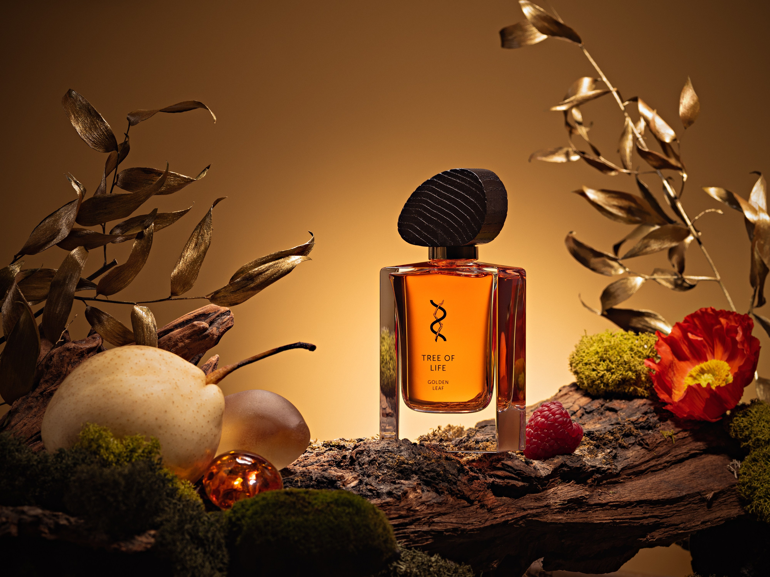 BROCARD GROUP. Асель Рембекова