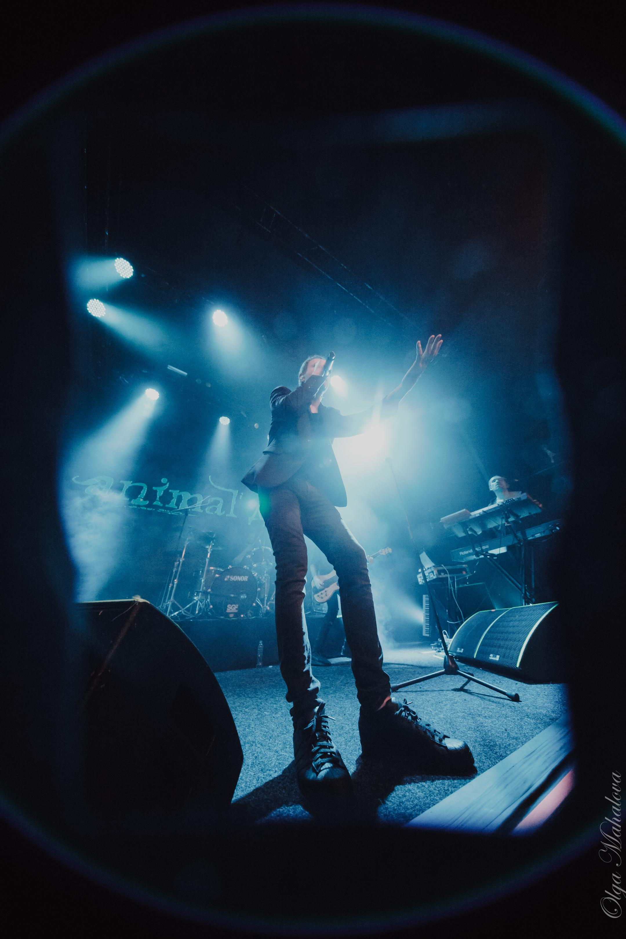 Animal ДжаZ, Урбан. Фотограф Ольга Махалова — Санкт-Петербург, Москва, Нижний Новгород