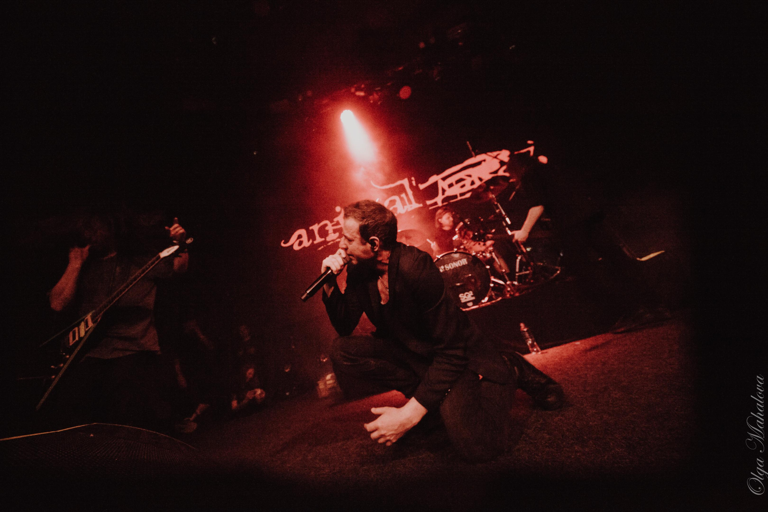 Animal ДжаZ, Урбан. Фотограф Ольга Махалова — Санкт-Петербург, Москва, Нижний Новгород