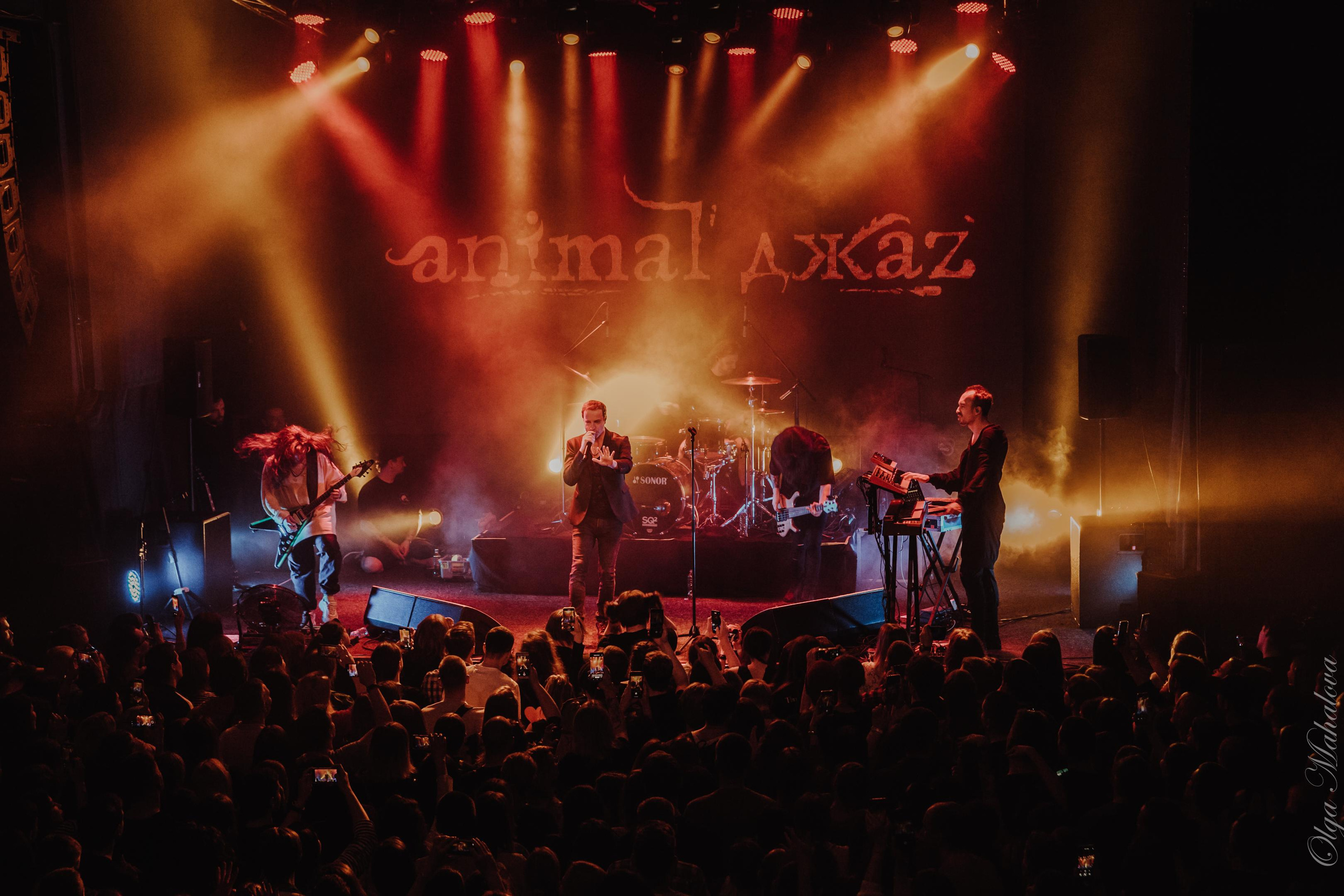 Animal ДжаZ, Урбан. Фотограф Ольга Махалова — Санкт-Петербург, Москва, Нижний Новгород