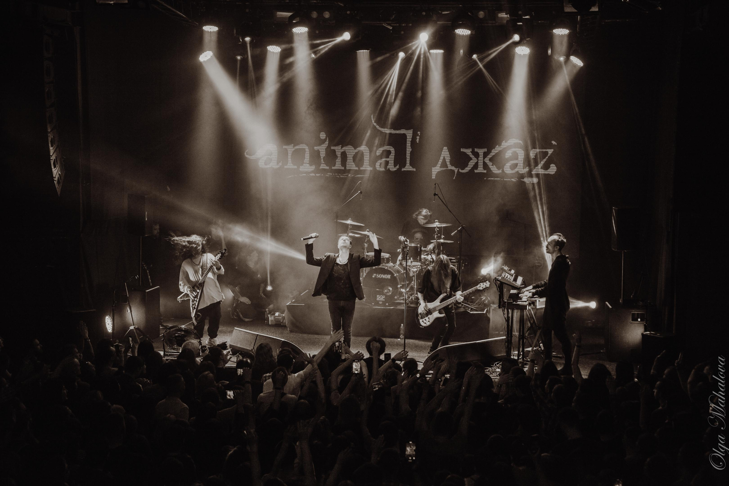 Animal ДжаZ, Урбан. Фотограф Ольга Махалова — Санкт-Петербург, Москва, Нижний Новгород