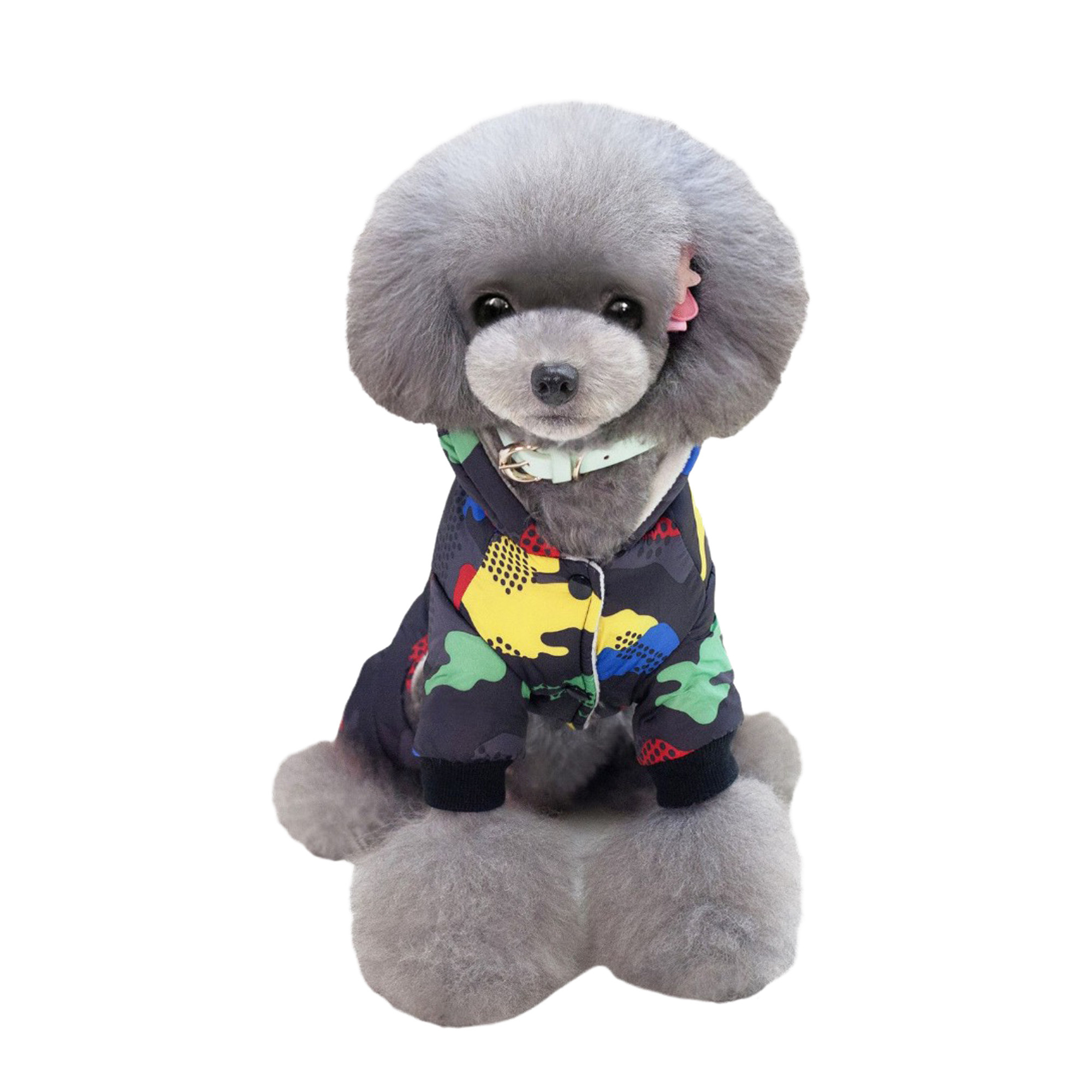 Комбинезоны для собак. Фотограф Ольга Махалова — Санкт-Петербург, Москва, Нижний Новгород