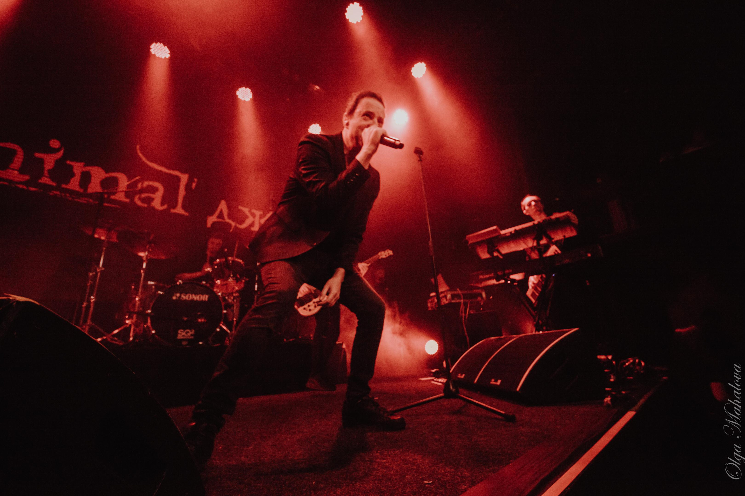 Animal ДжаZ, Урбан. Фотограф Ольга Махалова — Санкт-Петербург, Москва, Нижний Новгород