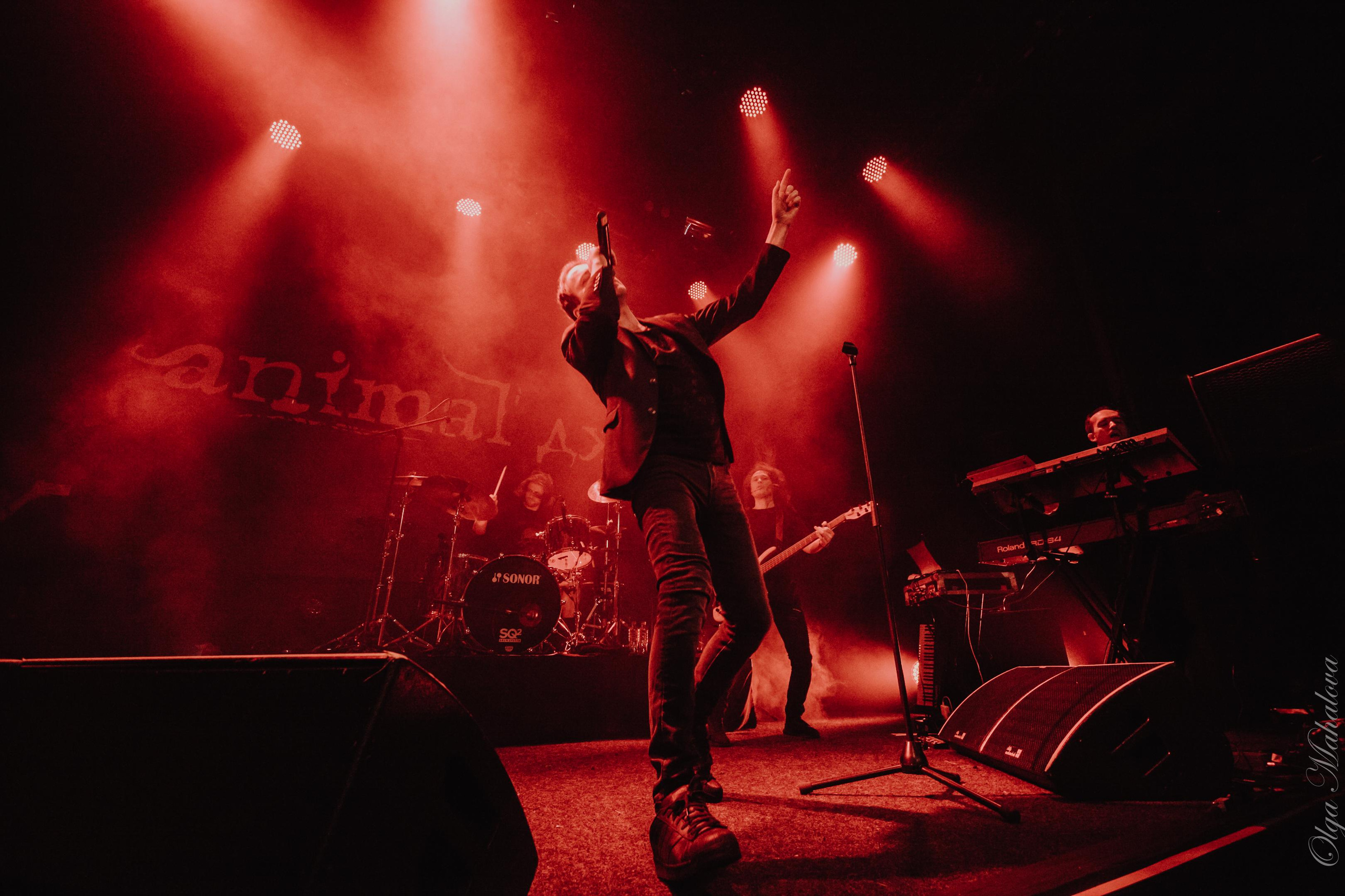 Animal ДжаZ, Урбан. Фотограф Ольга Махалова — Санкт-Петербург, Москва, Нижний Новгород