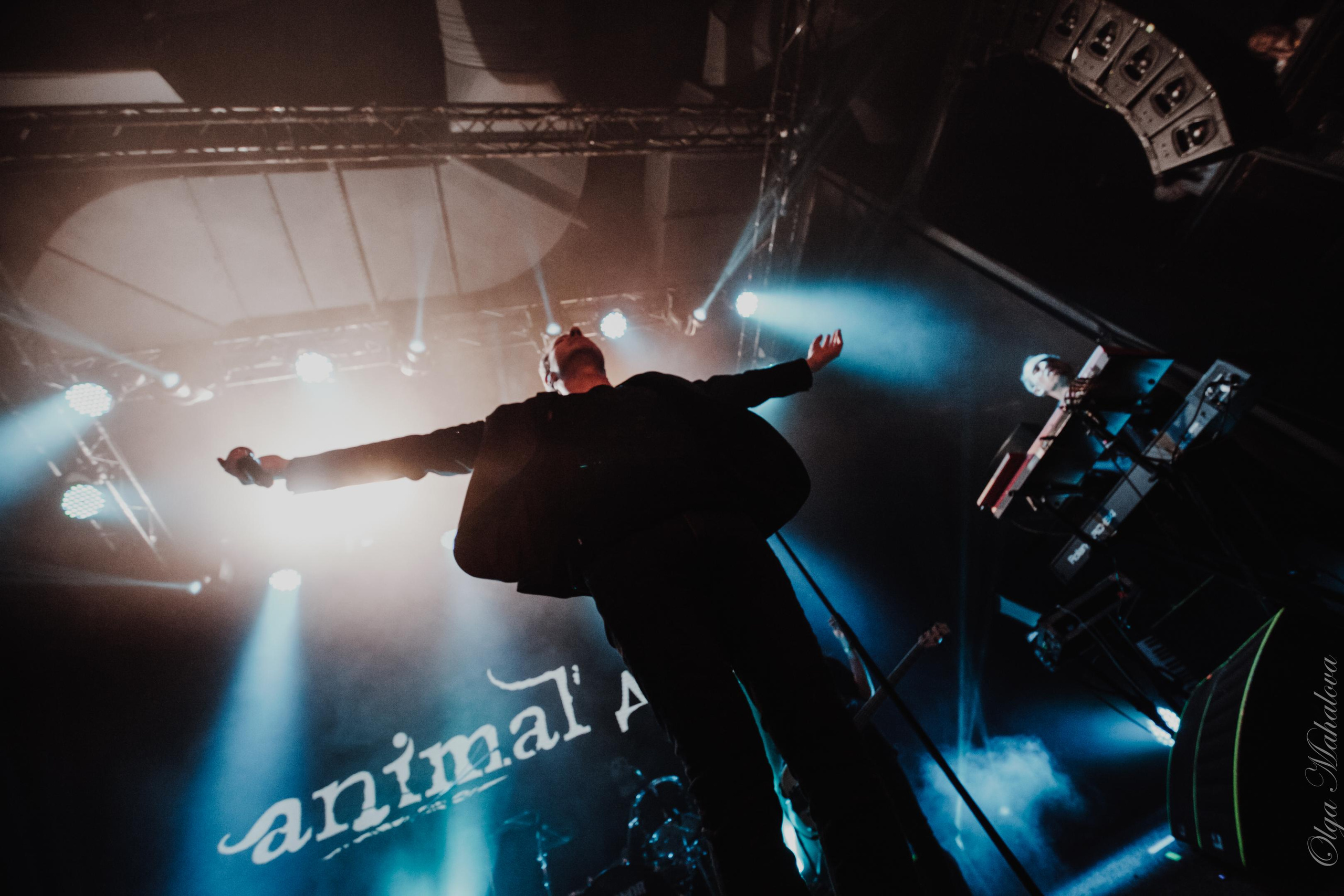 Animal ДжаZ, Урбан. Фотограф Ольга Махалова — Санкт-Петербург, Москва, Нижний Новгород