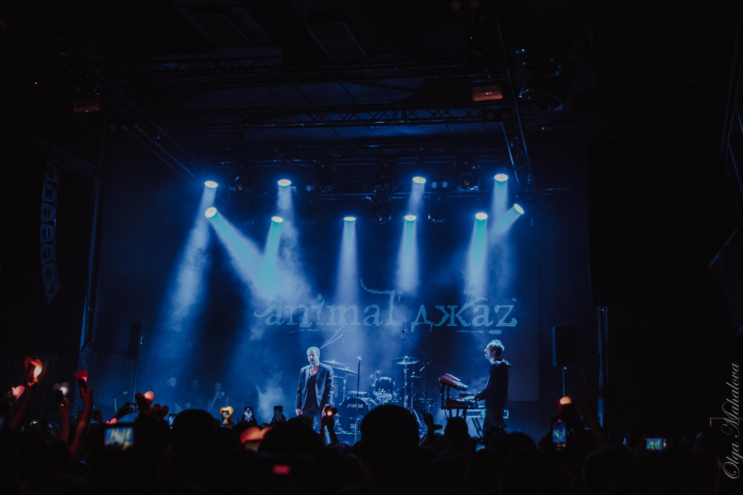 Animal ДжаZ, Урбан. Фотограф Ольга Махалова — Санкт-Петербург, Москва, Нижний Новгород