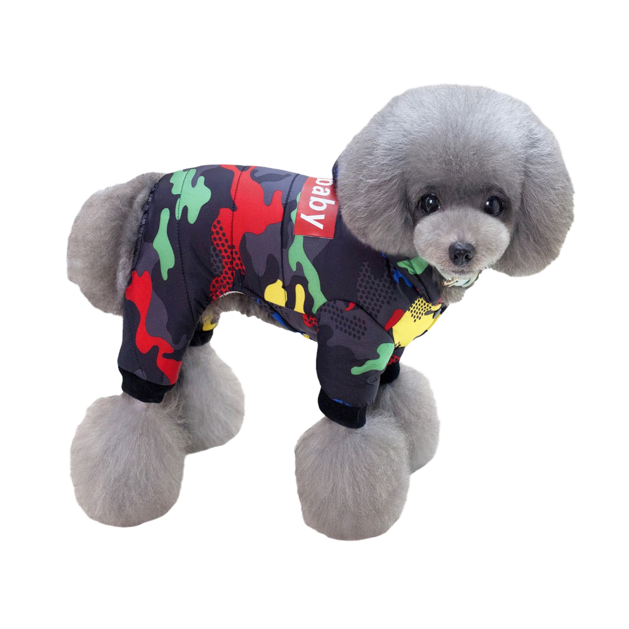 Комбинезоны для собак. Фотограф Ольга Махалова — Санкт-Петербург, Москва, Нижний Новгород