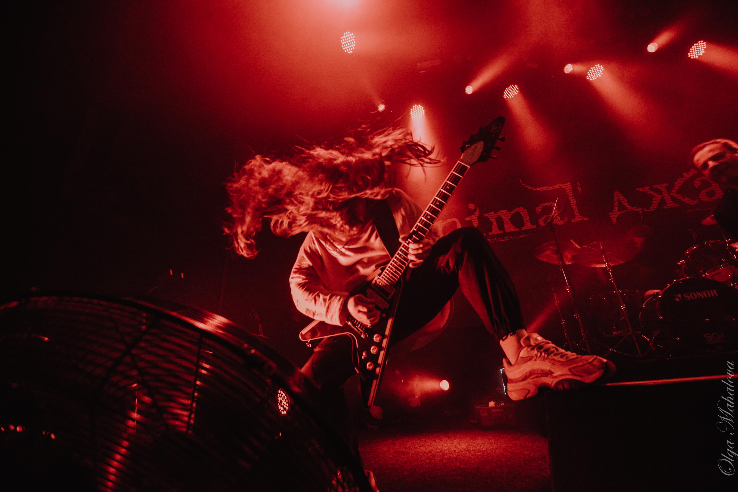 Animal ДжаZ, Урбан. Фотограф Ольга Махалова — Санкт-Петербург, Москва, Нижний Новгород