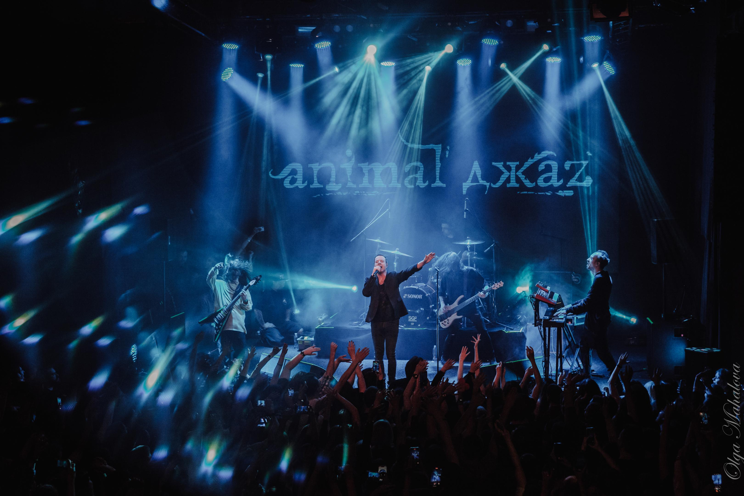 Animal ДжаZ, Урбан. Фотограф Ольга Махалова — Санкт-Петербург, Москва, Нижний Новгород