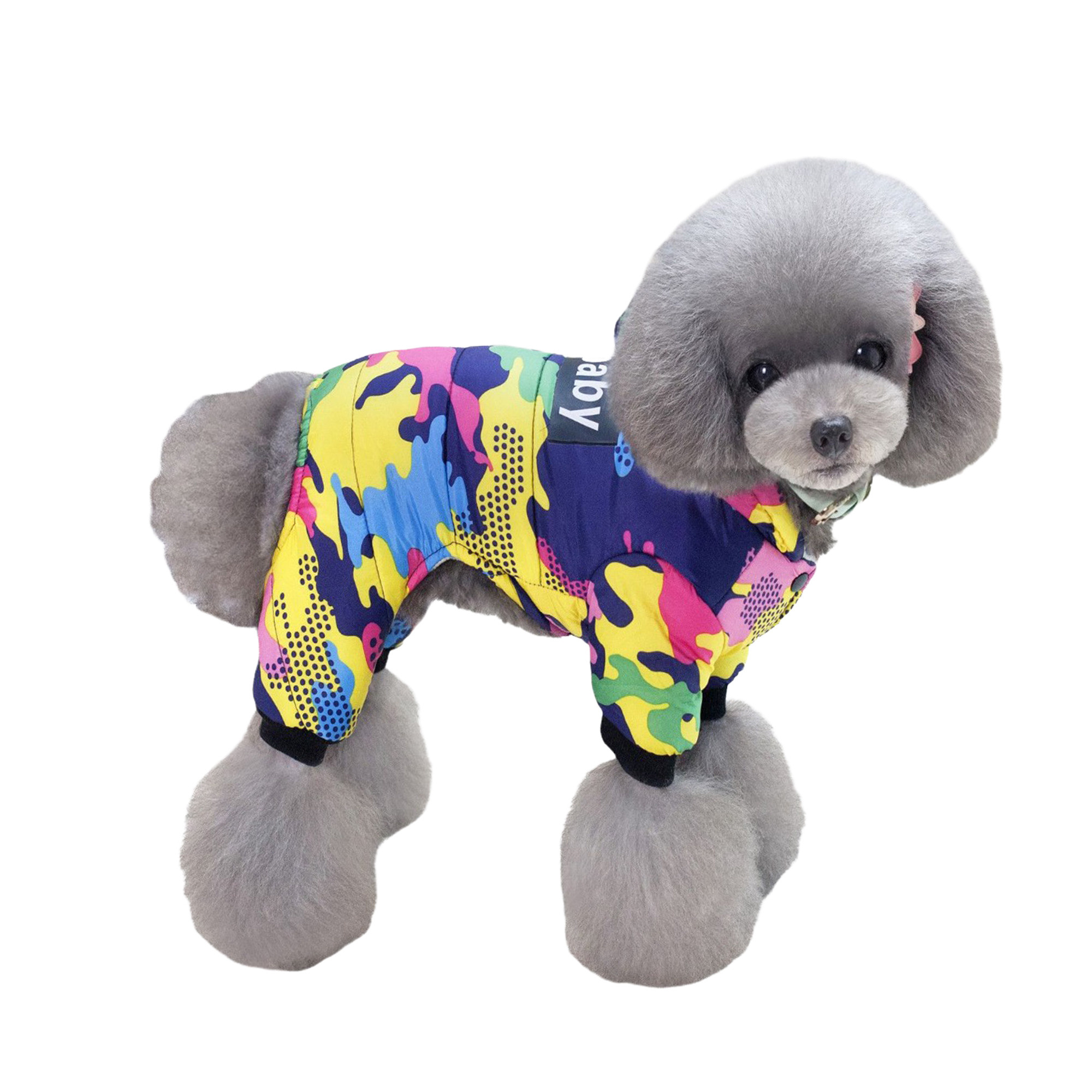 Комбинезоны для собак. Фотограф Ольга Махалова — Санкт-Петербург, Москва, Нижний Новгород