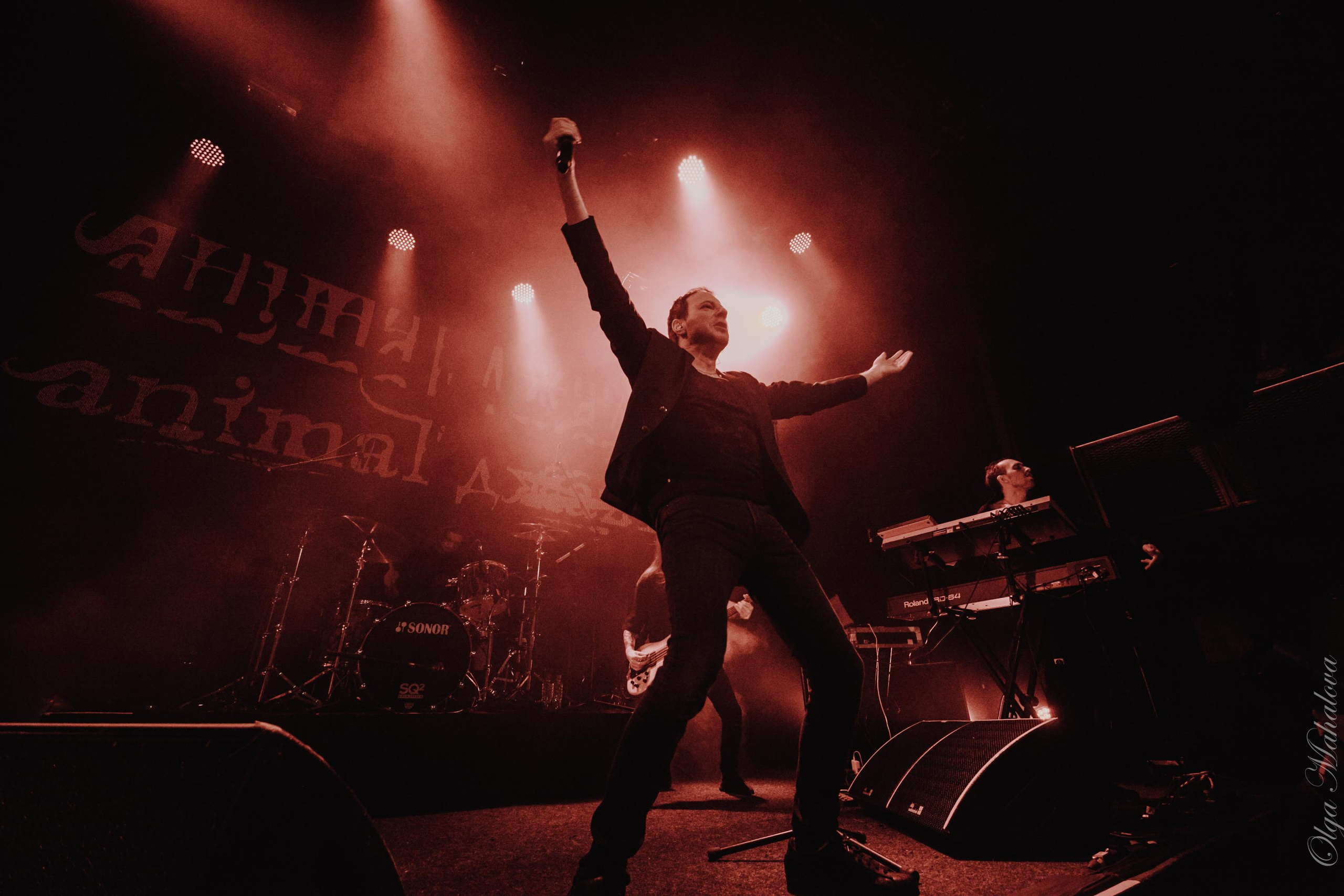 Animal ДжаZ, Урбан. Фотограф Ольга Махалова — Санкт-Петербург, Москва, Нижний Новгород