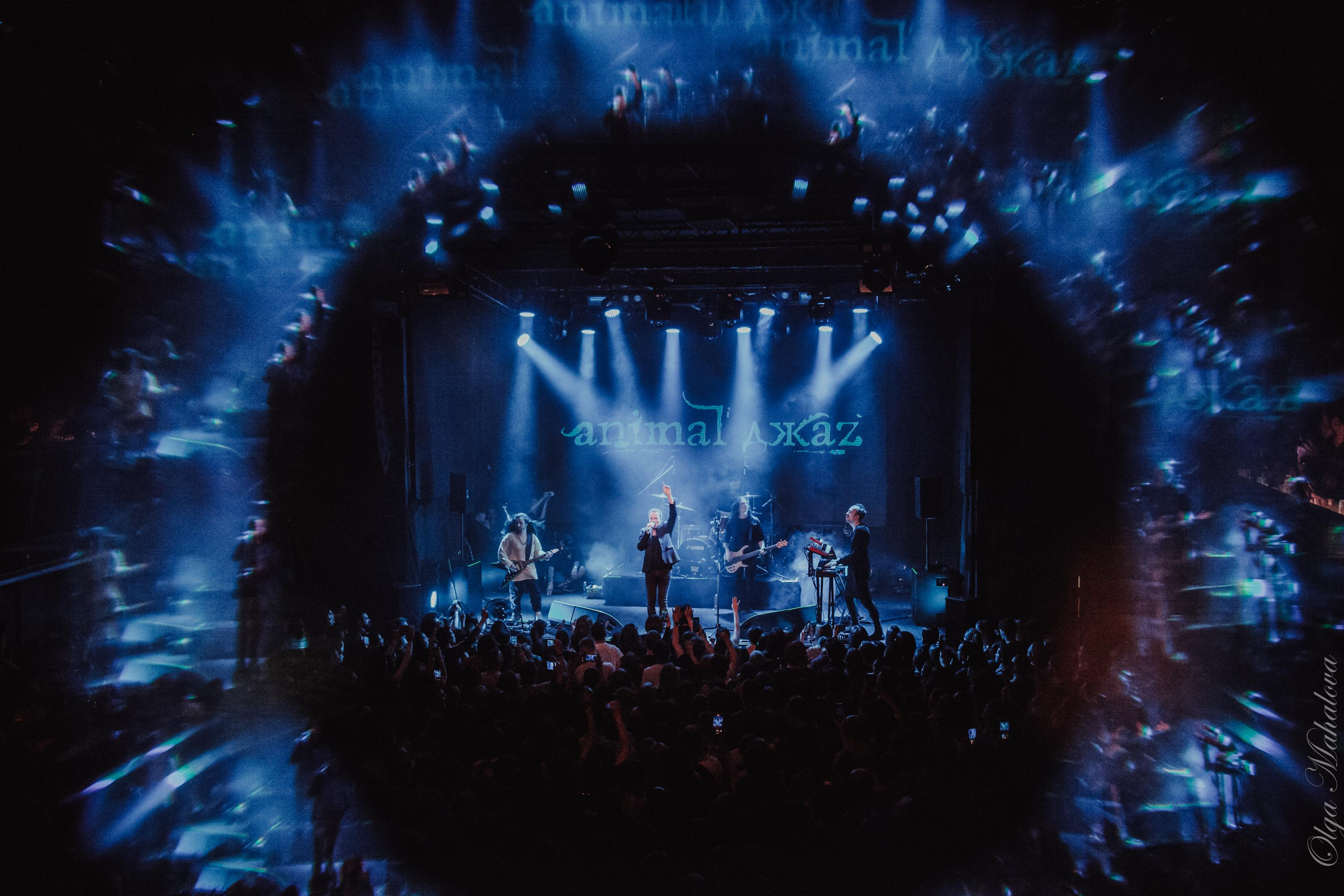 Animal ДжаZ, Урбан. Фотограф Ольга Махалова — Санкт-Петербург, Москва, Нижний Новгород