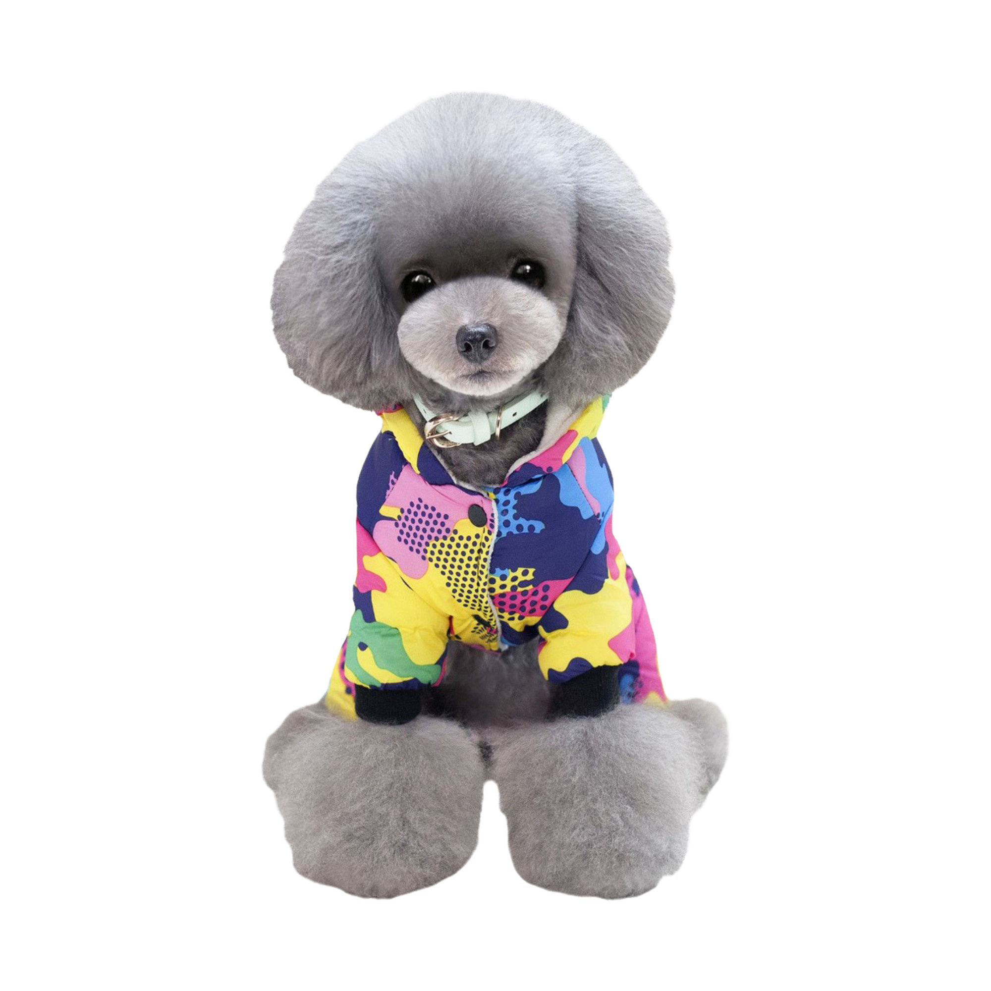 Комбинезоны для собак. Фотограф Ольга Махалова — Санкт-Петербург, Москва, Нижний Новгород