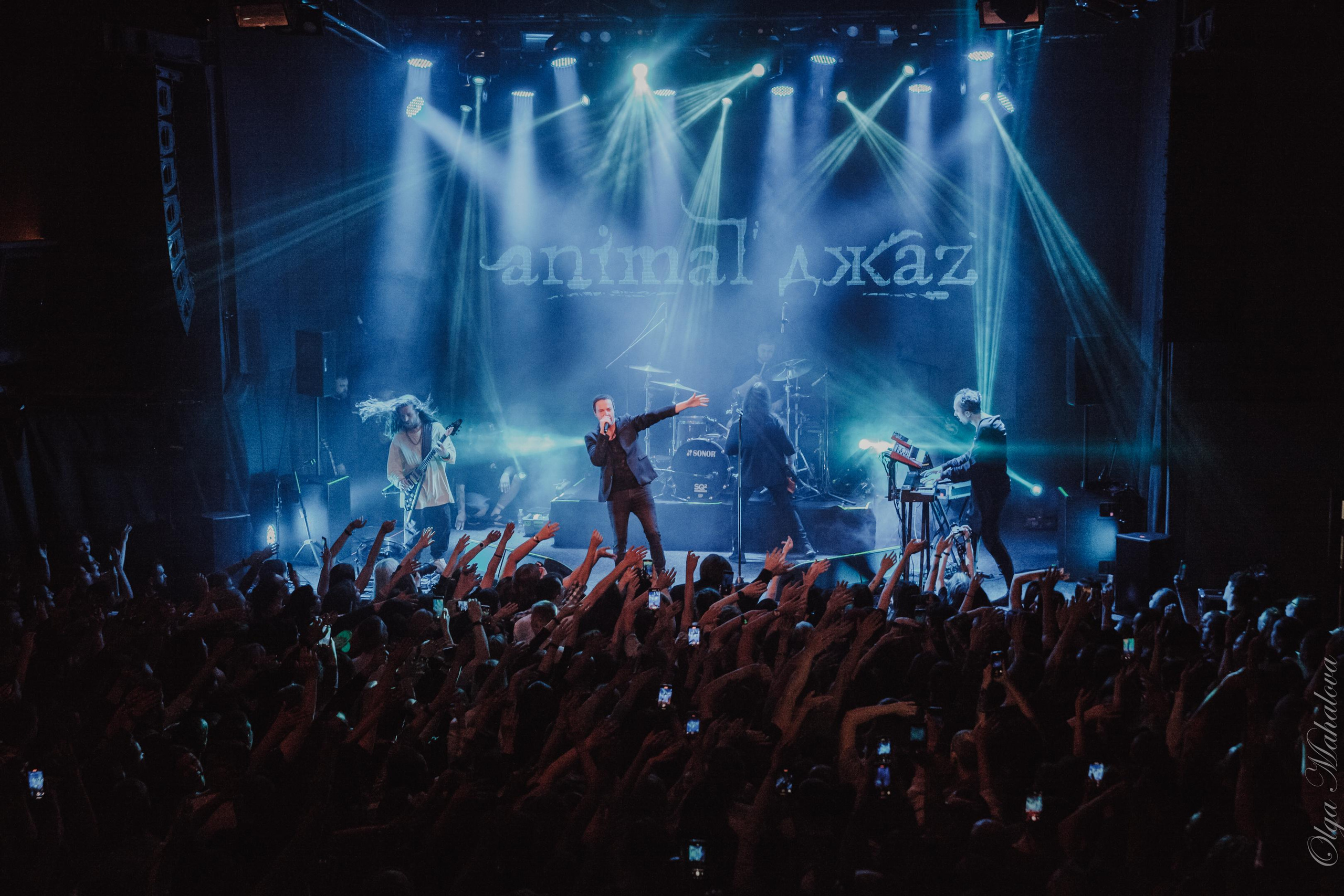 Animal ДжаZ, Урбан. Фотограф Ольга Махалова — Санкт-Петербург, Москва, Нижний Новгород