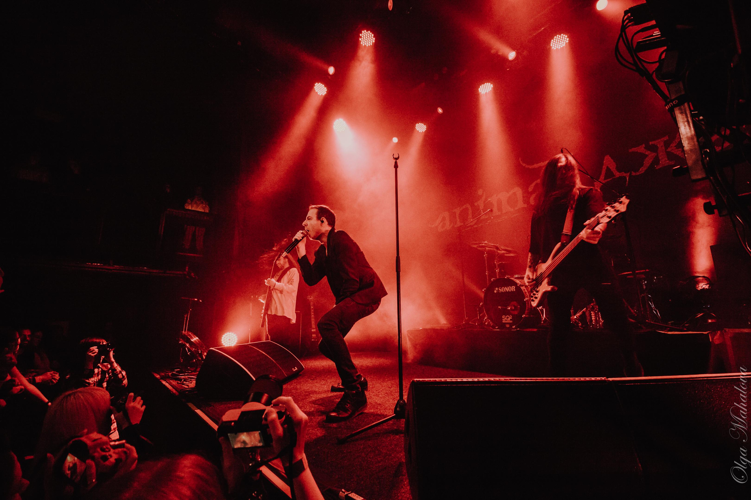 Animal ДжаZ, Урбан. Фотограф Ольга Махалова — Санкт-Петербург, Москва, Нижний Новгород