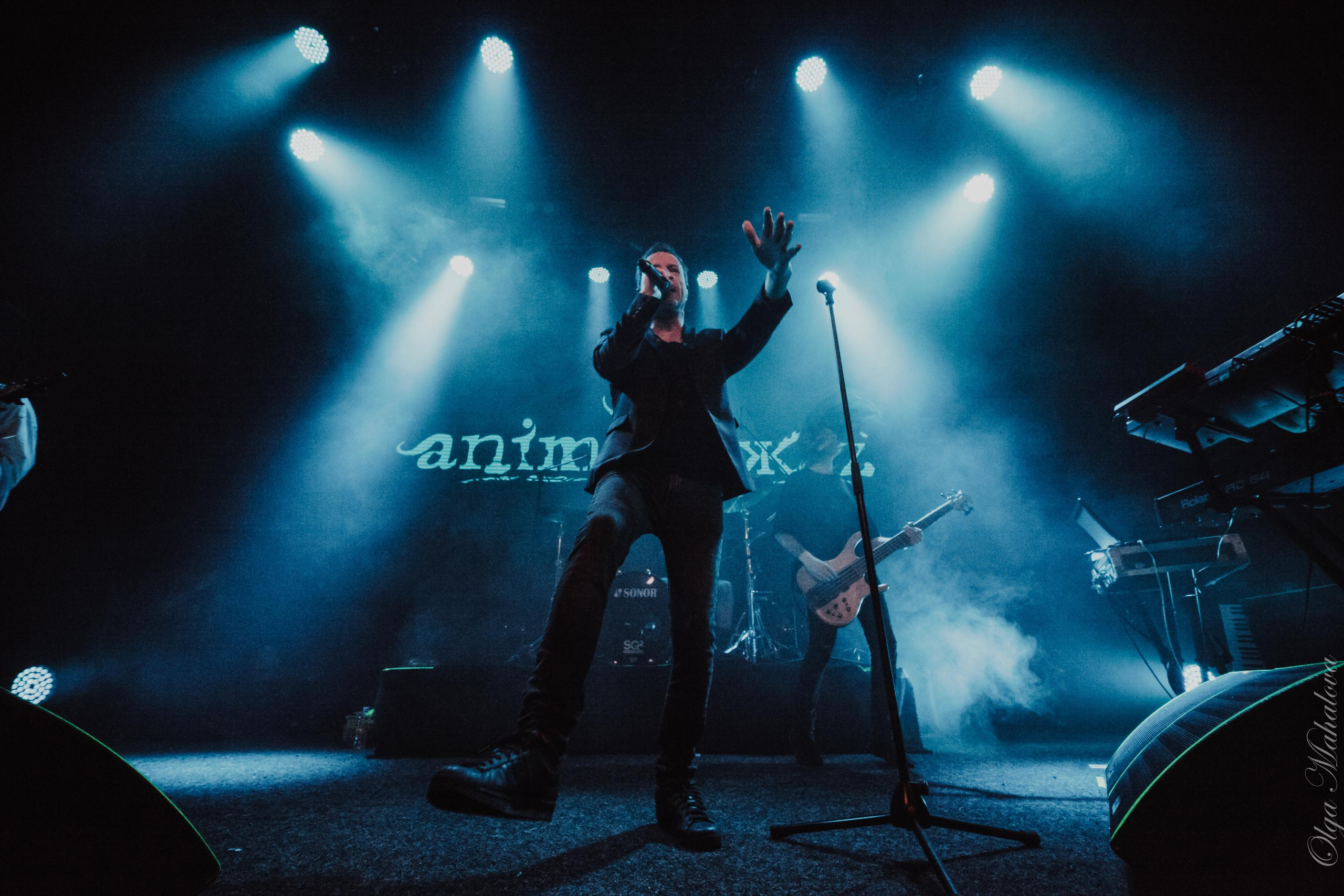 Animal ДжаZ, Урбан. Фотограф Ольга Махалова — Санкт-Петербург, Москва, Нижний Новгород