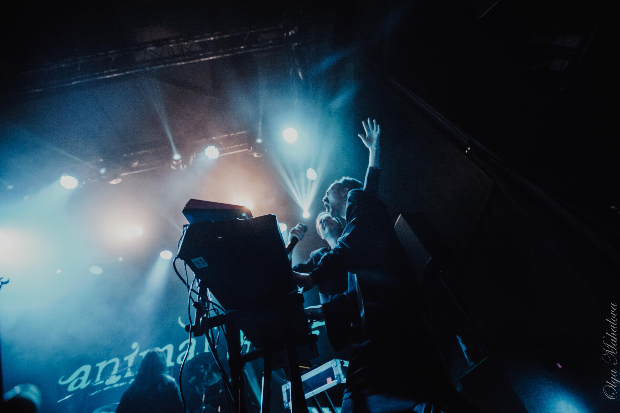 Animal ДжаZ, Урбан. Фотограф Ольга Махалова — Санкт-Петербург, Москва, Нижний Новгород