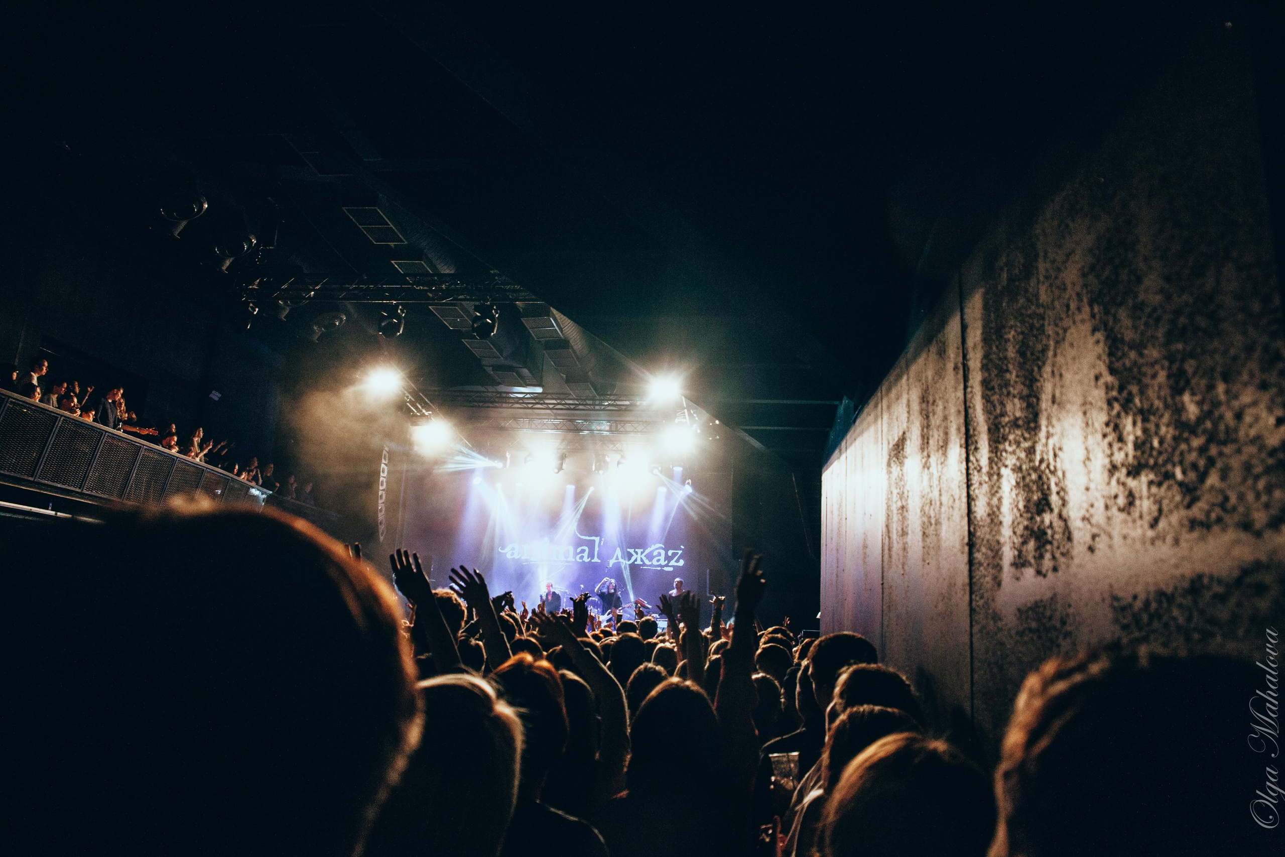 Animal ДжаZ, Урбан. Фотограф Ольга Махалова — Санкт-Петербург, Москва, Нижний Новгород