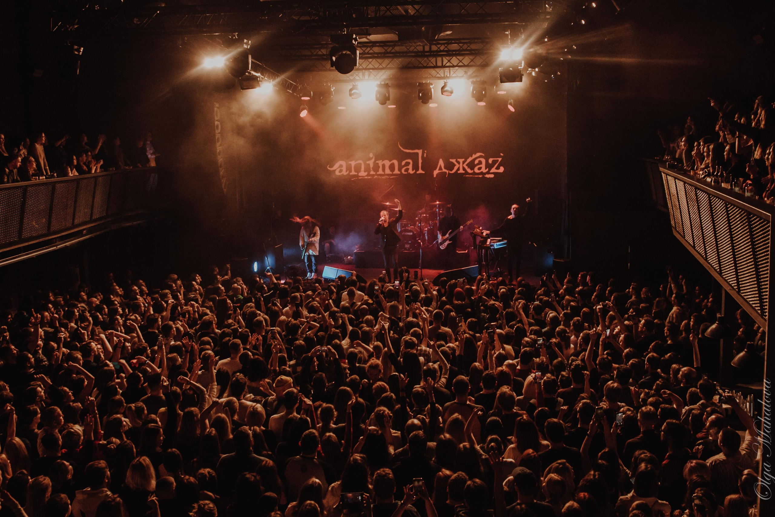 Animal ДжаZ, Урбан. Фотограф Ольга Махалова — Санкт-Петербург, Москва, Нижний Новгород