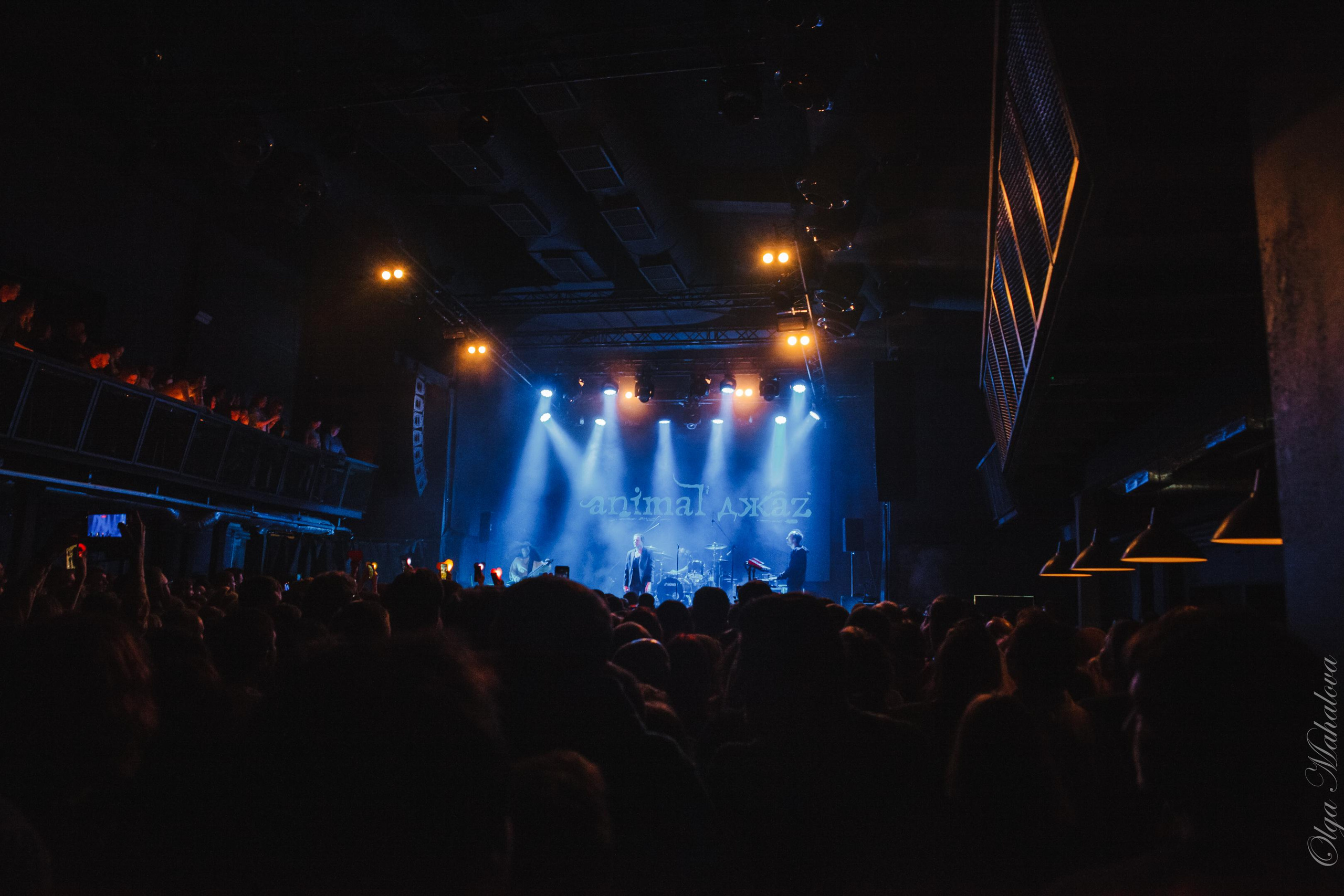 Animal ДжаZ, Урбан. Фотограф Ольга Махалова — Санкт-Петербург, Москва, Нижний Новгород