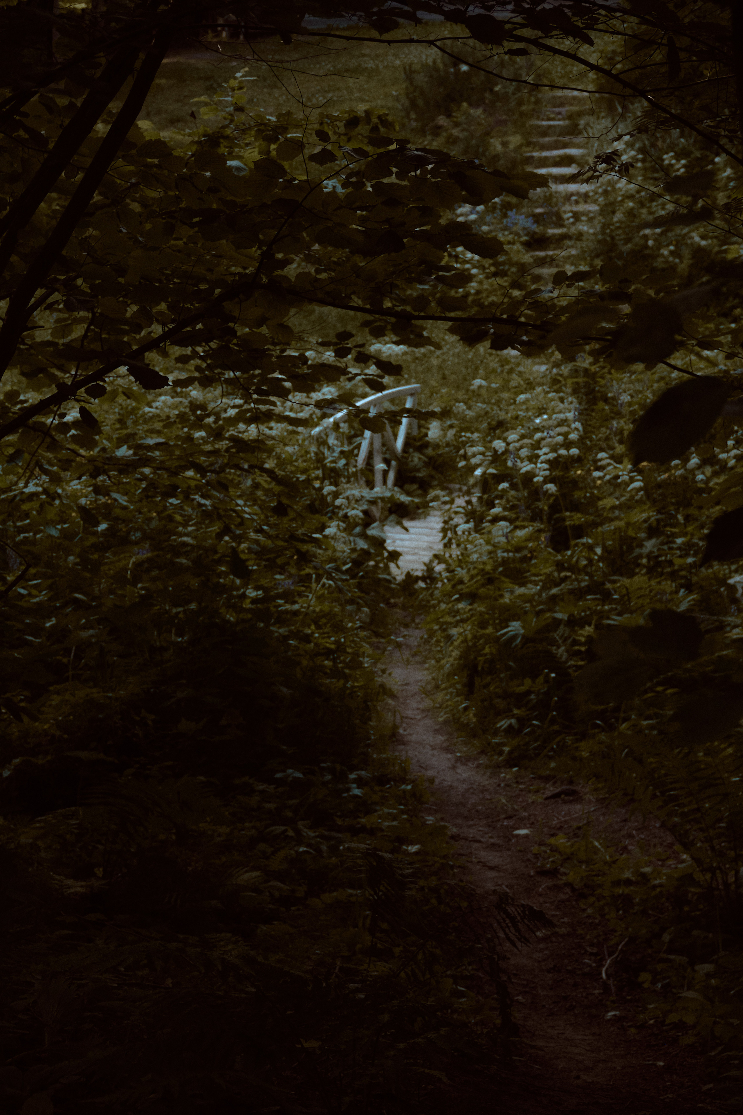 Джейн Остин. Фотограф лавстори Москва/МО Приятелева Ангелина