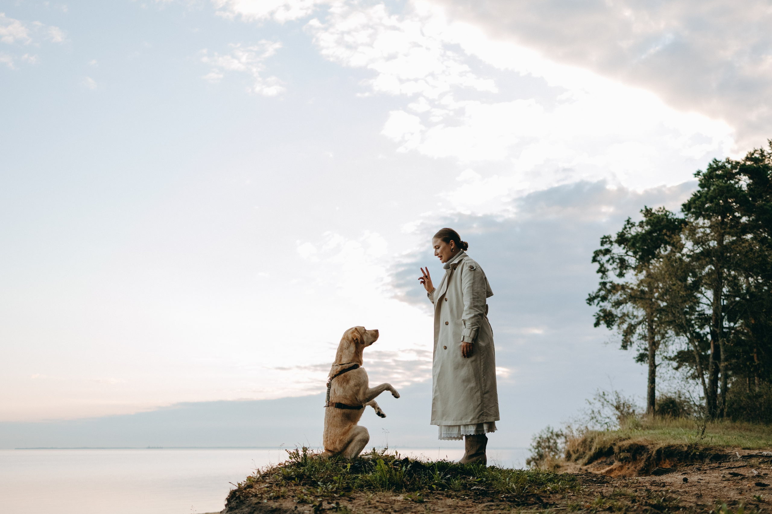 Наташа и Шани. Фотограф — Анималист | Санкт-Петербург