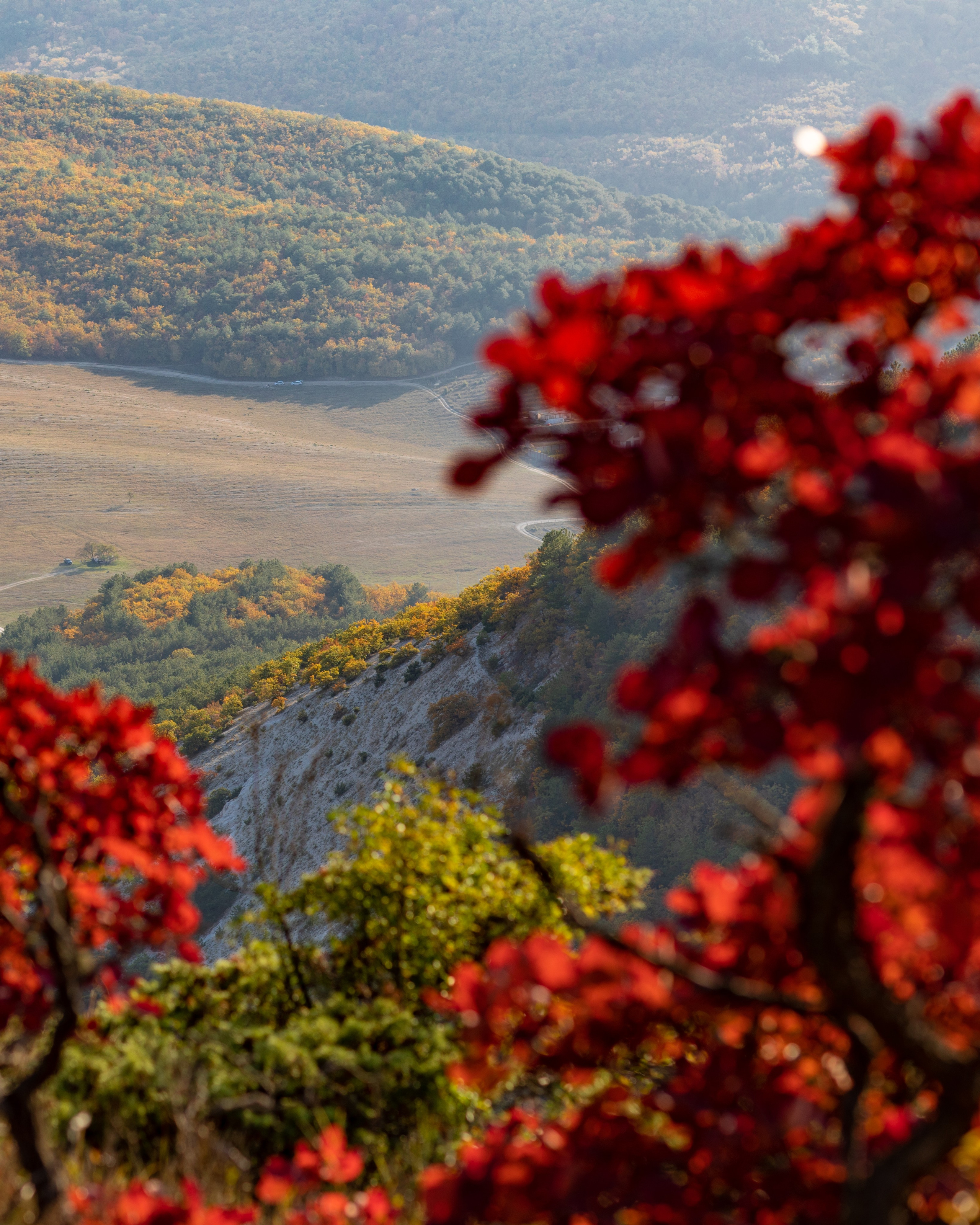 ШУЛДАН. Фотограф Севастополь/Крым Светлана Евтушенко