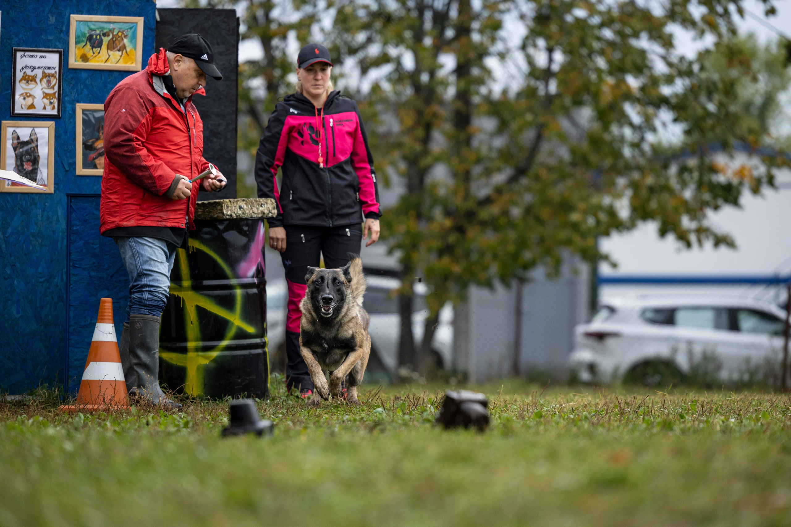 Испытания по Мондьорингу г. Пушкин. Фотограф-анималист Анна Маринич