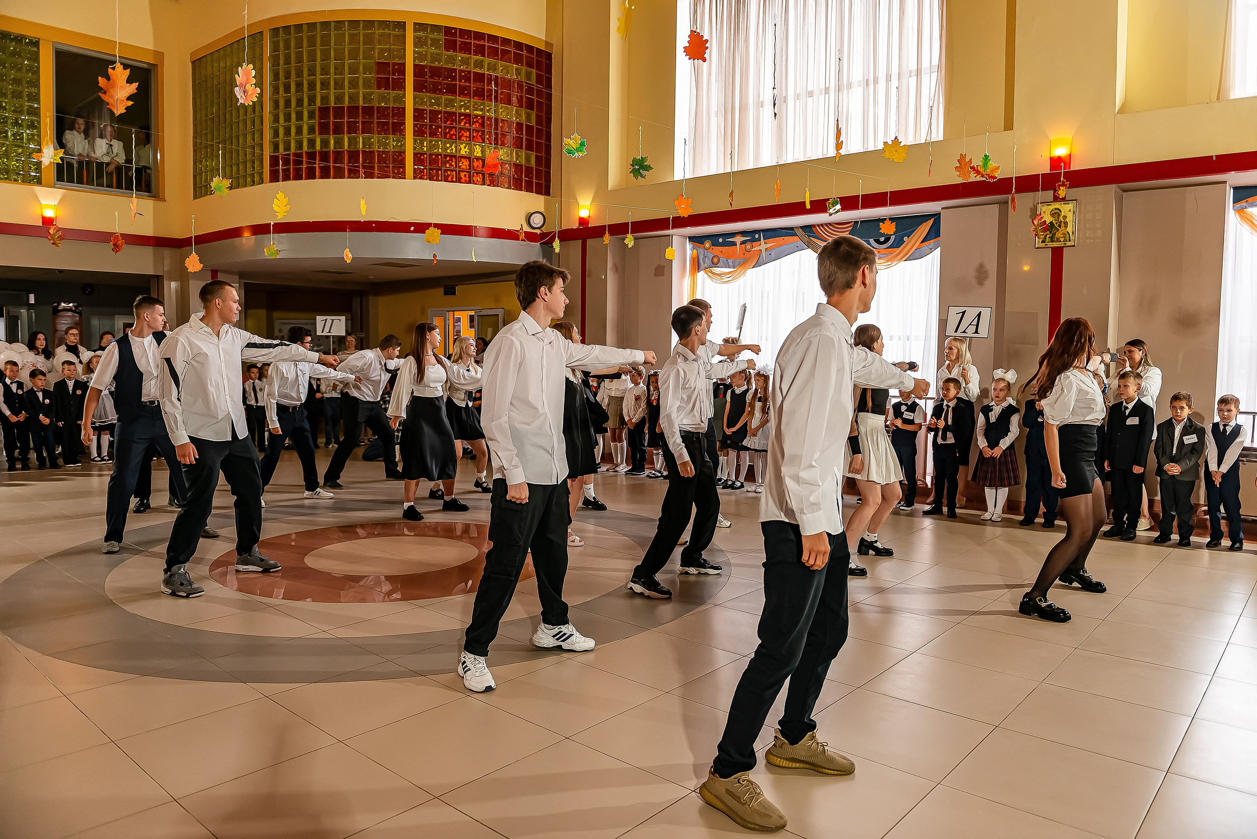 1 «В» | Гимназия № 3| г. Белгород |2024. ALBUMIA