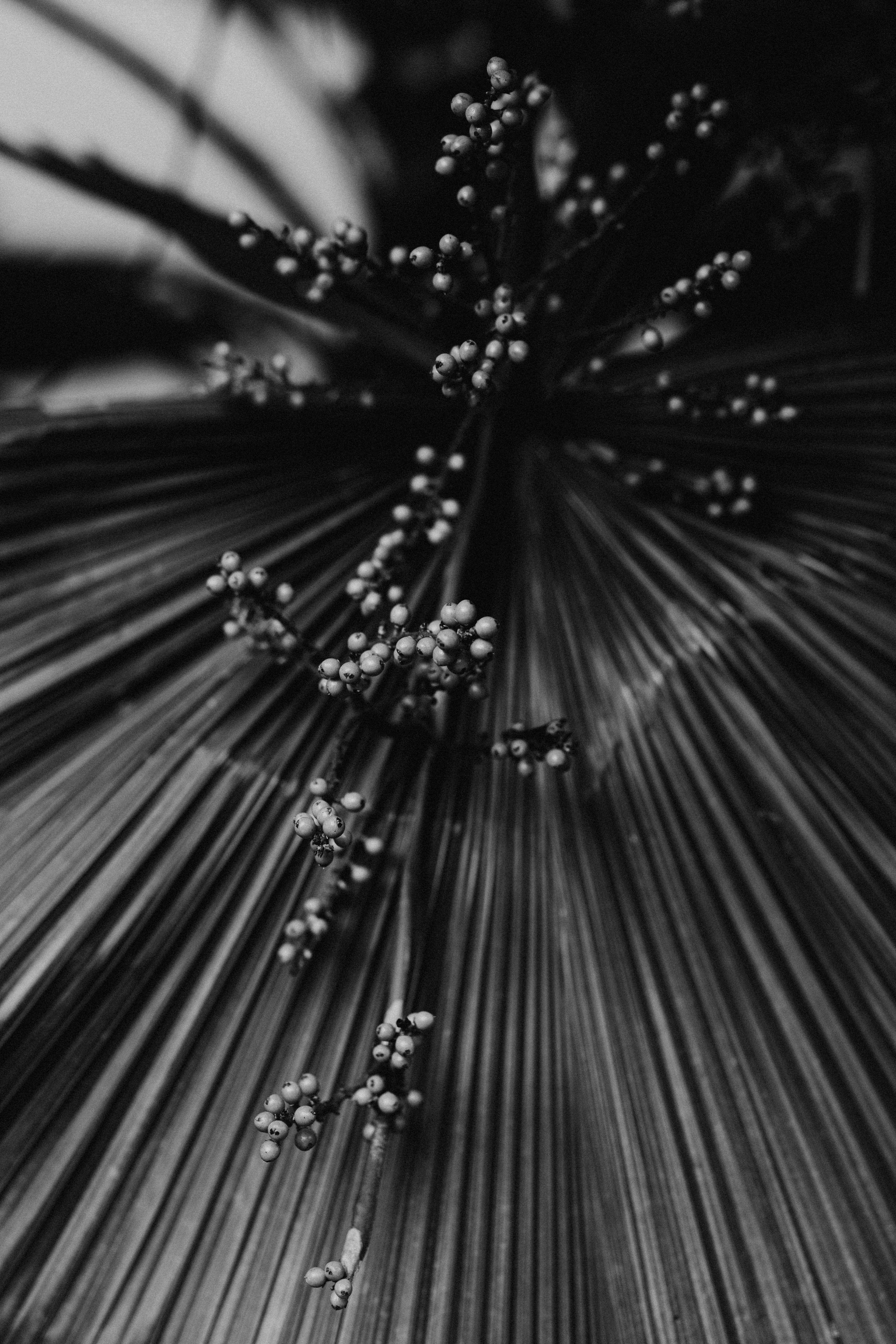 Portfolio. @beingabird.photography