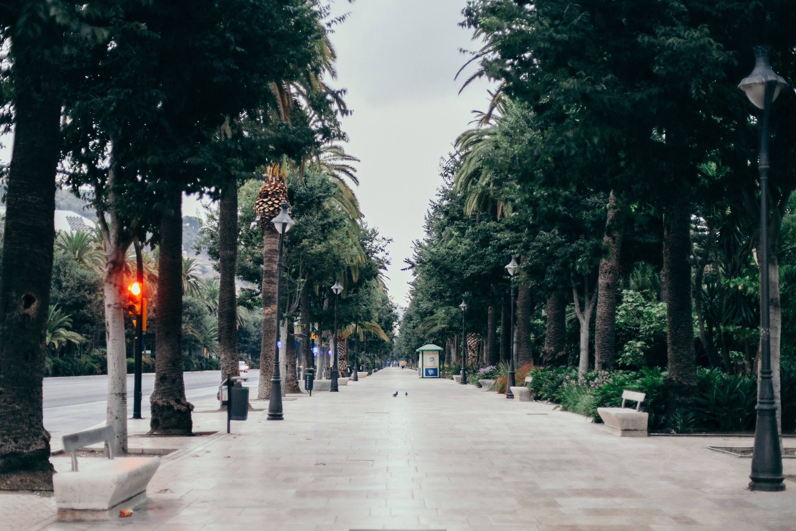 Малага. Аня Степанова