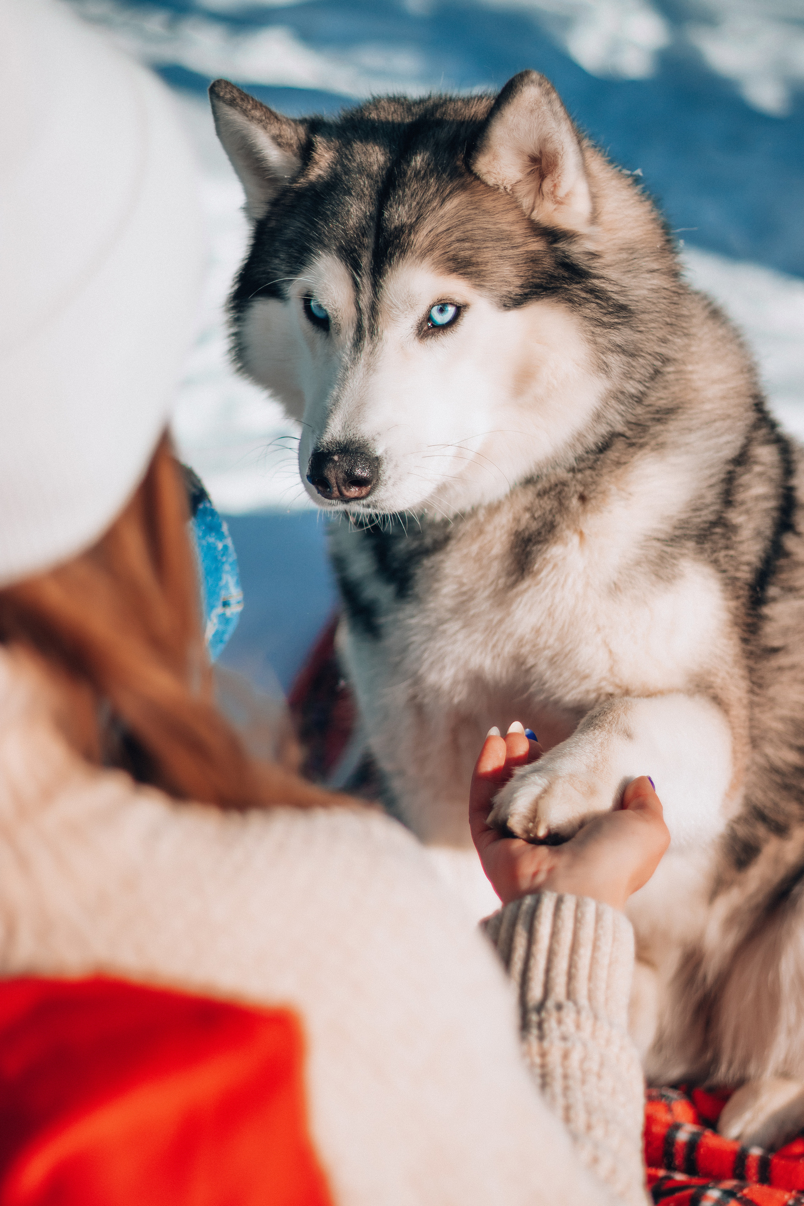 Индивидуальные. Анастасия Тен