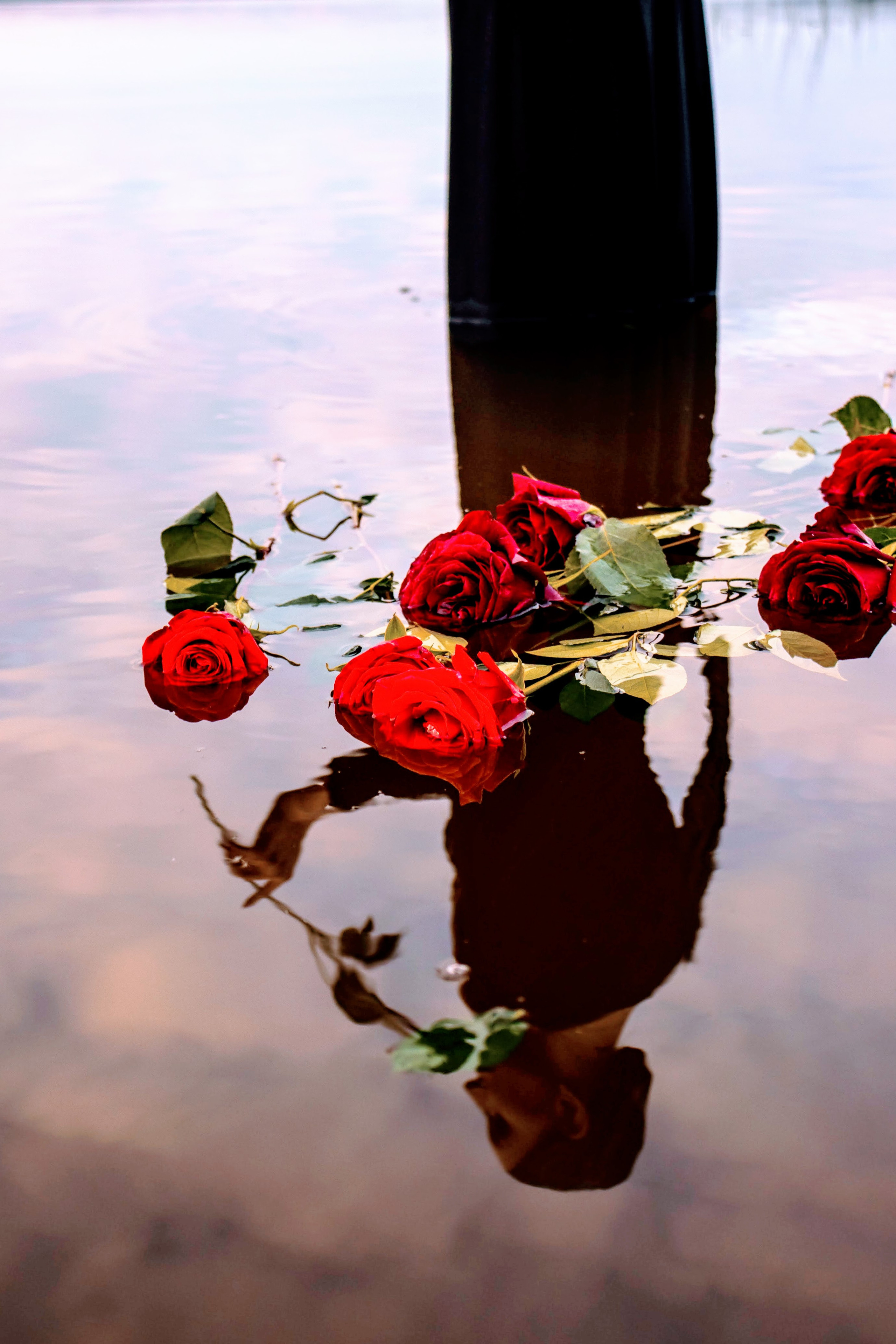 Индивидуальные. Анастасия Тен