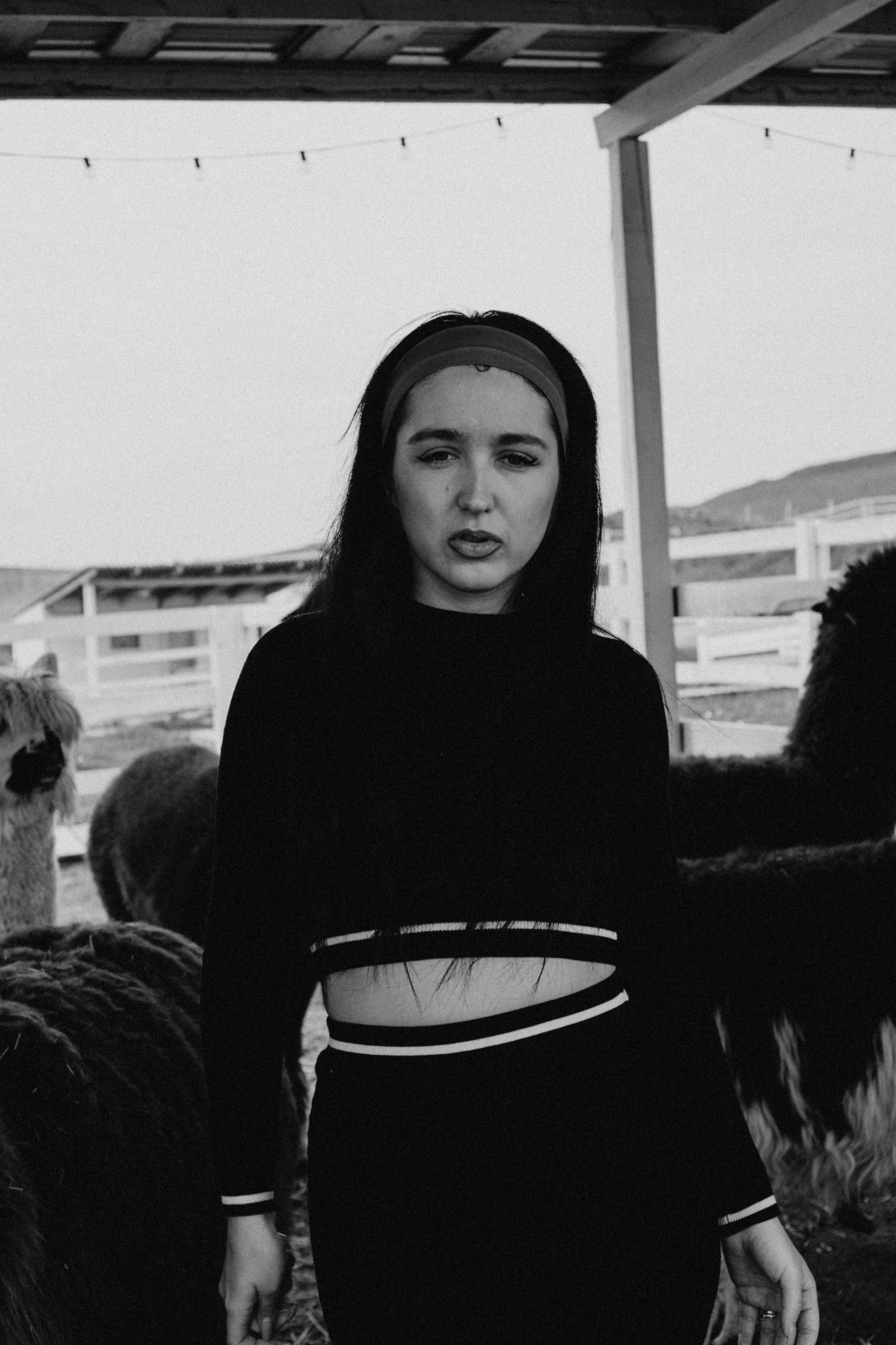 Ферма Альпак. Профессиональный фотограф, Санкт-Петербург — Виктория Богомолова