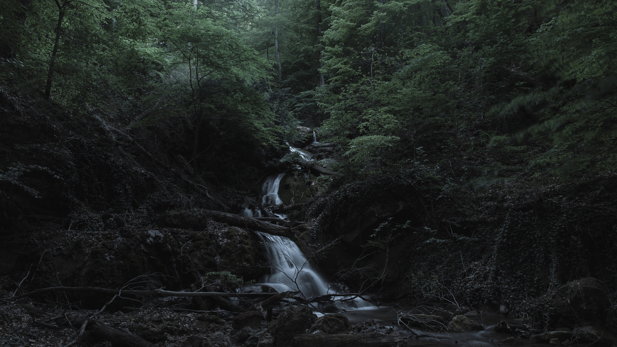 Nature. Артем Корнев Фотограф