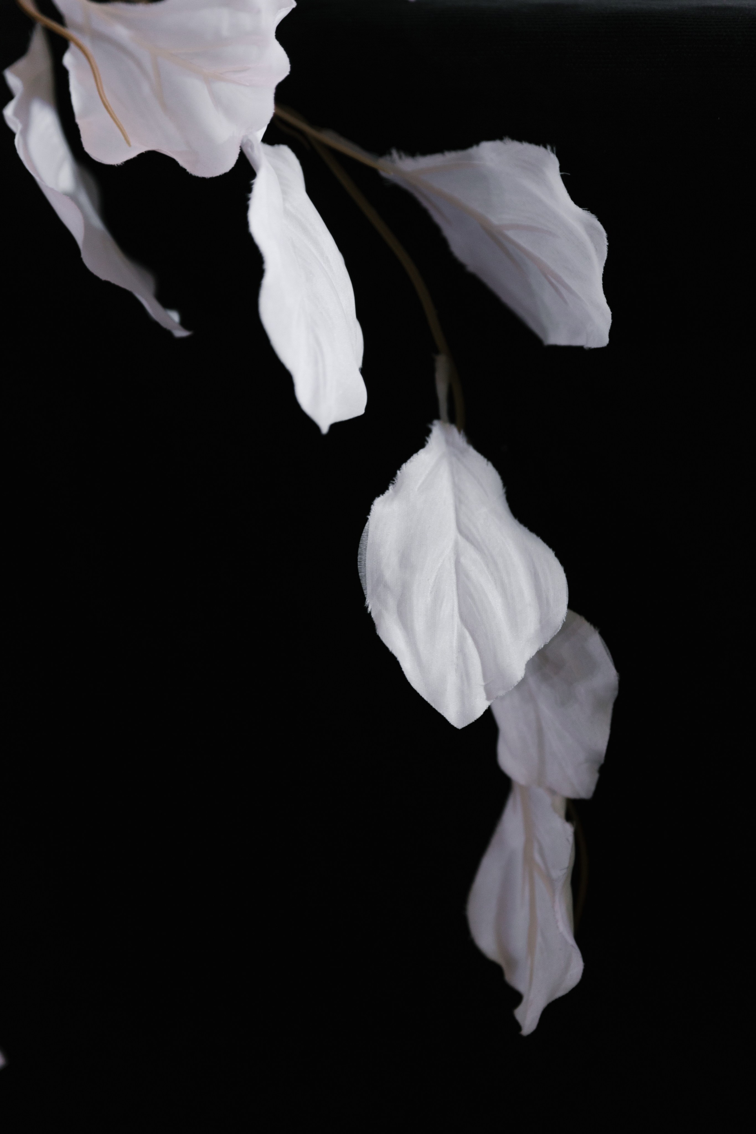 Сёма и Юля. Свадебный фотограф в Пятигорске и КМВ Софья Аджикеримова