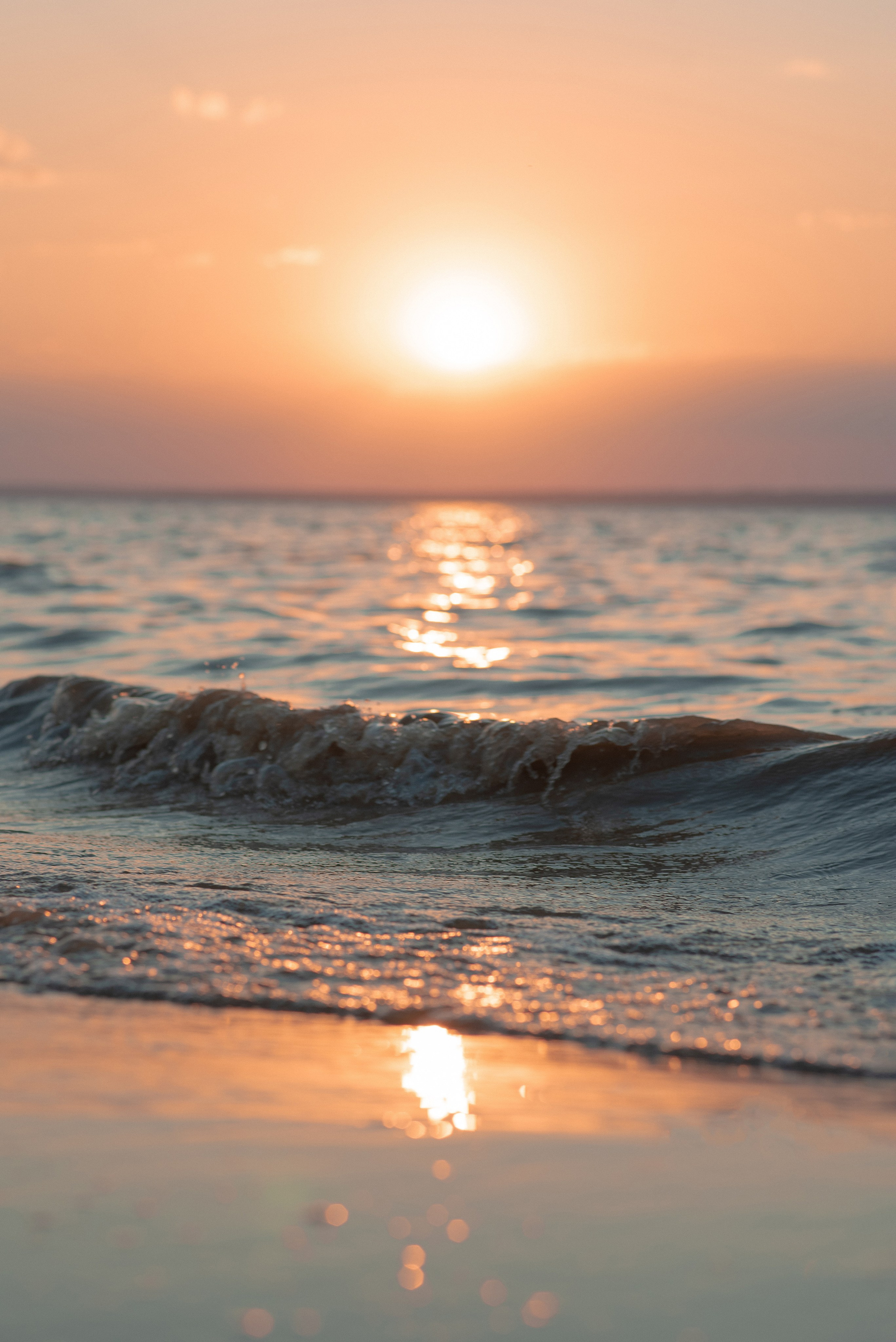 Единение. Главная