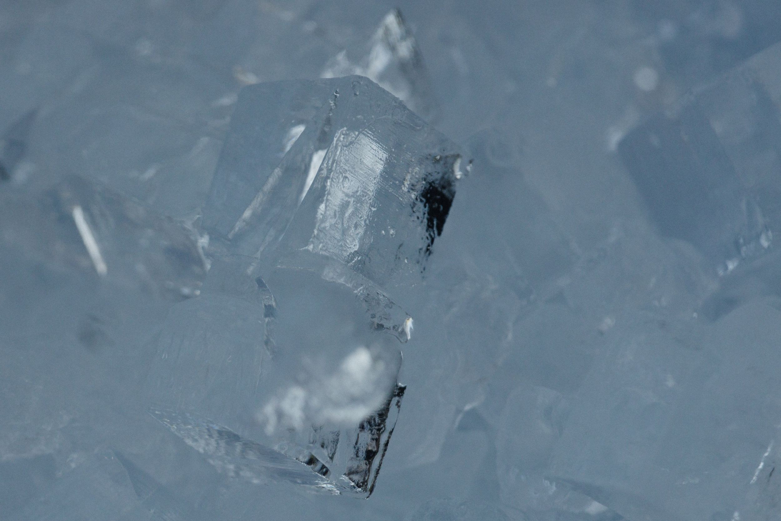 19.07.25 Сергей и Екатерина. Свадебный организатор Екатеринбург