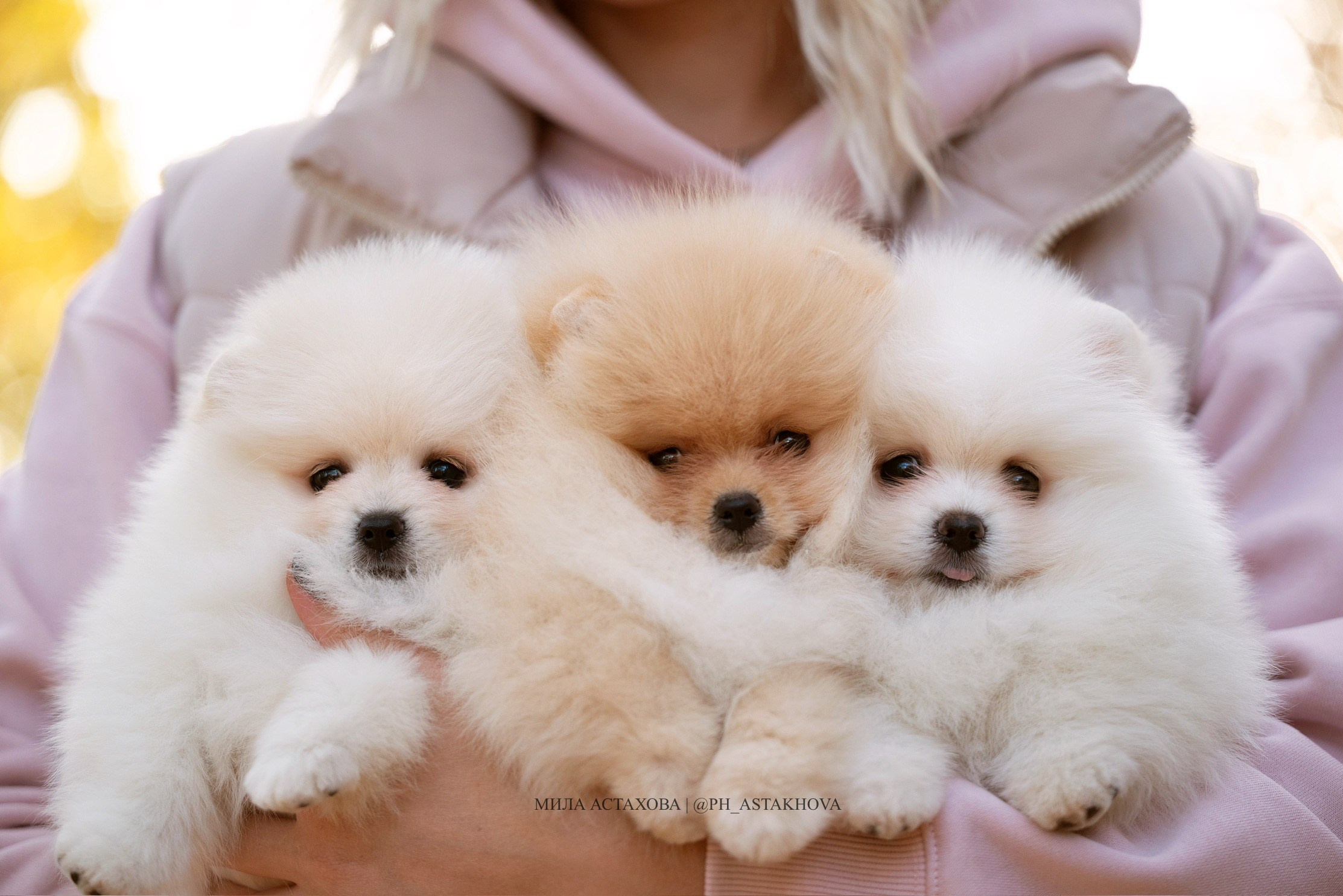 Пряничек, Снежка и Ирина. Мила Астахова