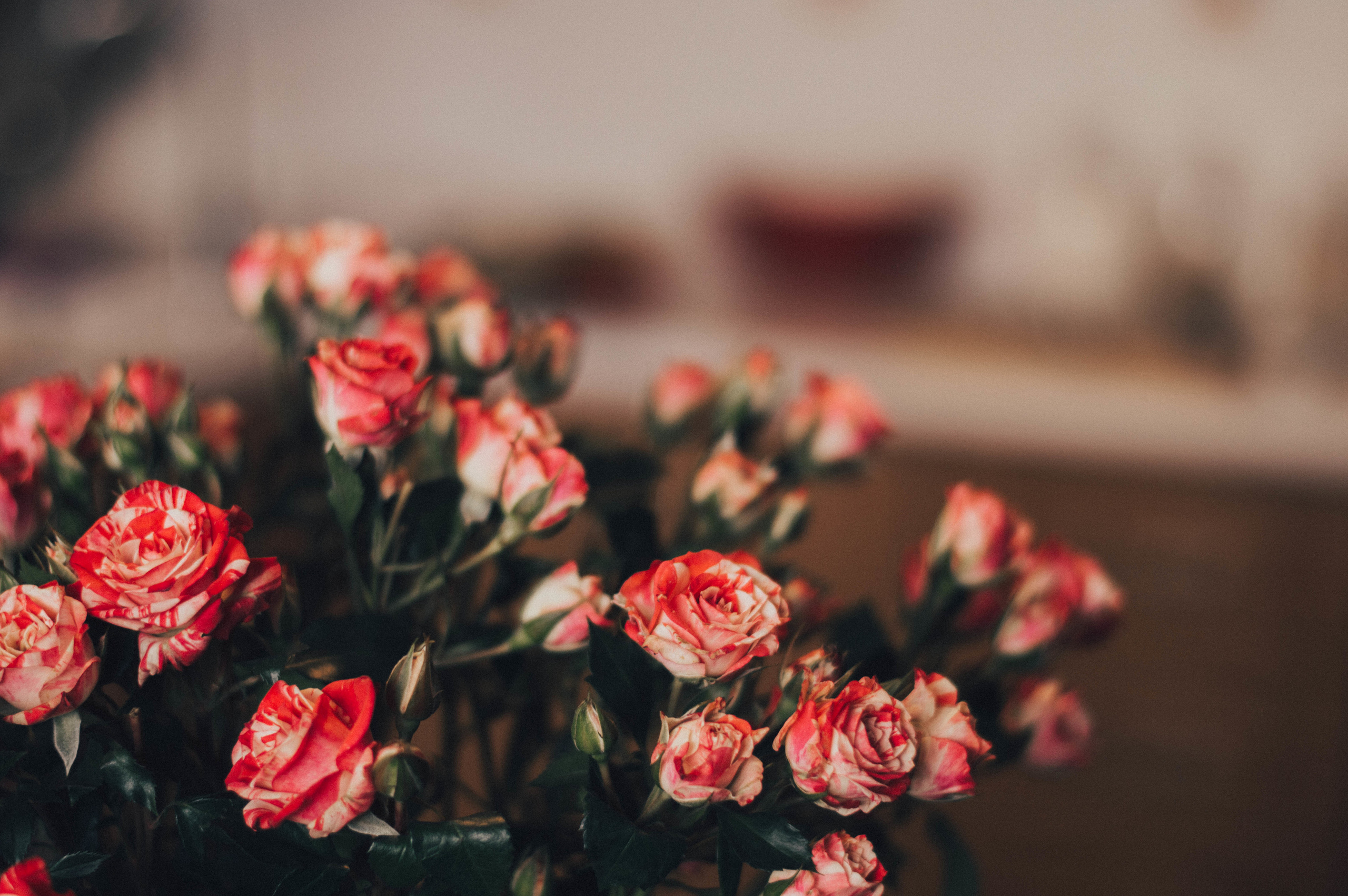 Серёжа и Маша. Свадебный и семейный фотограф в Чите Юлия Оранская