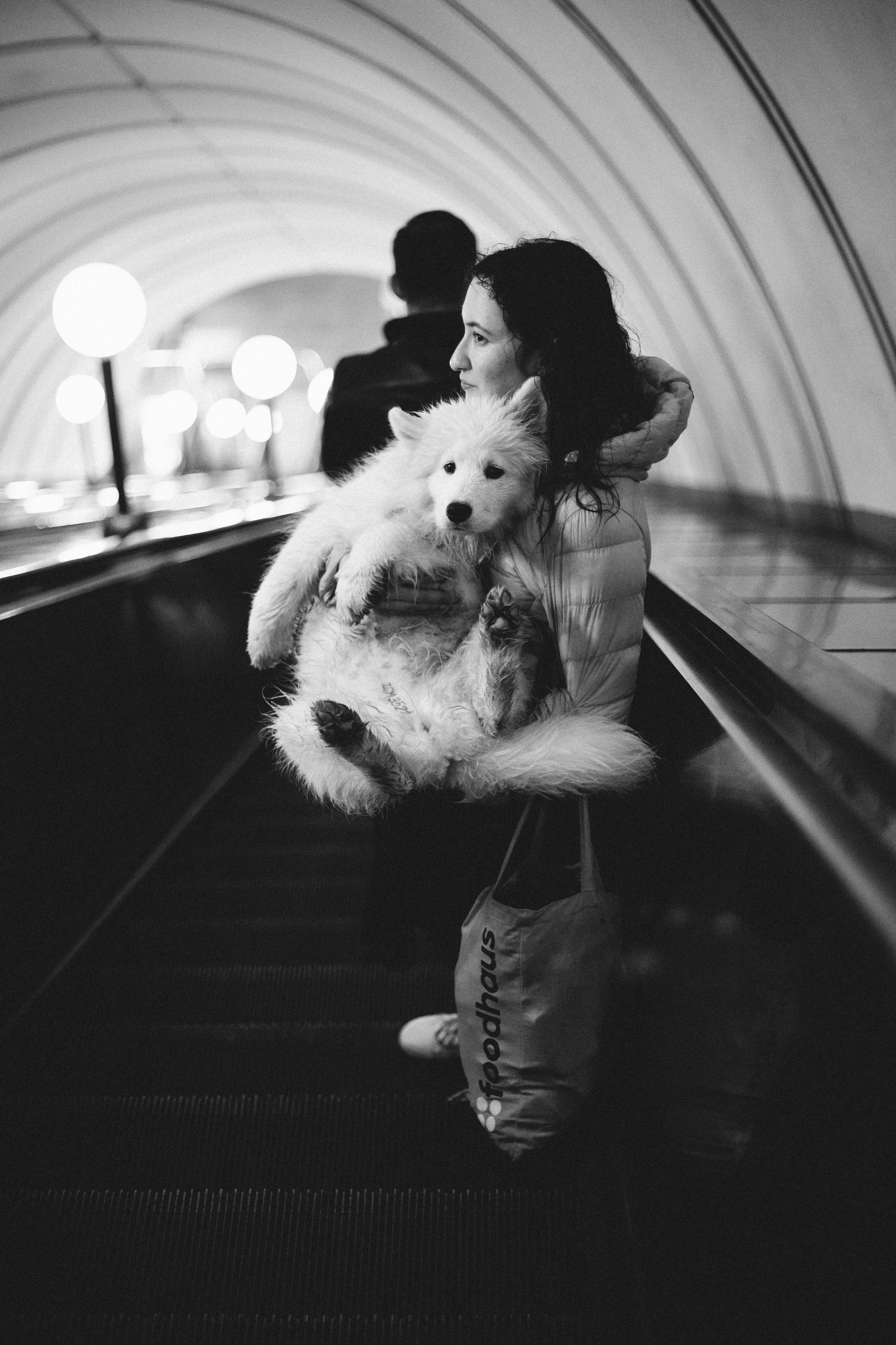 Кая и Даяна. Фотограф анималист в Москве Майорова Евгения