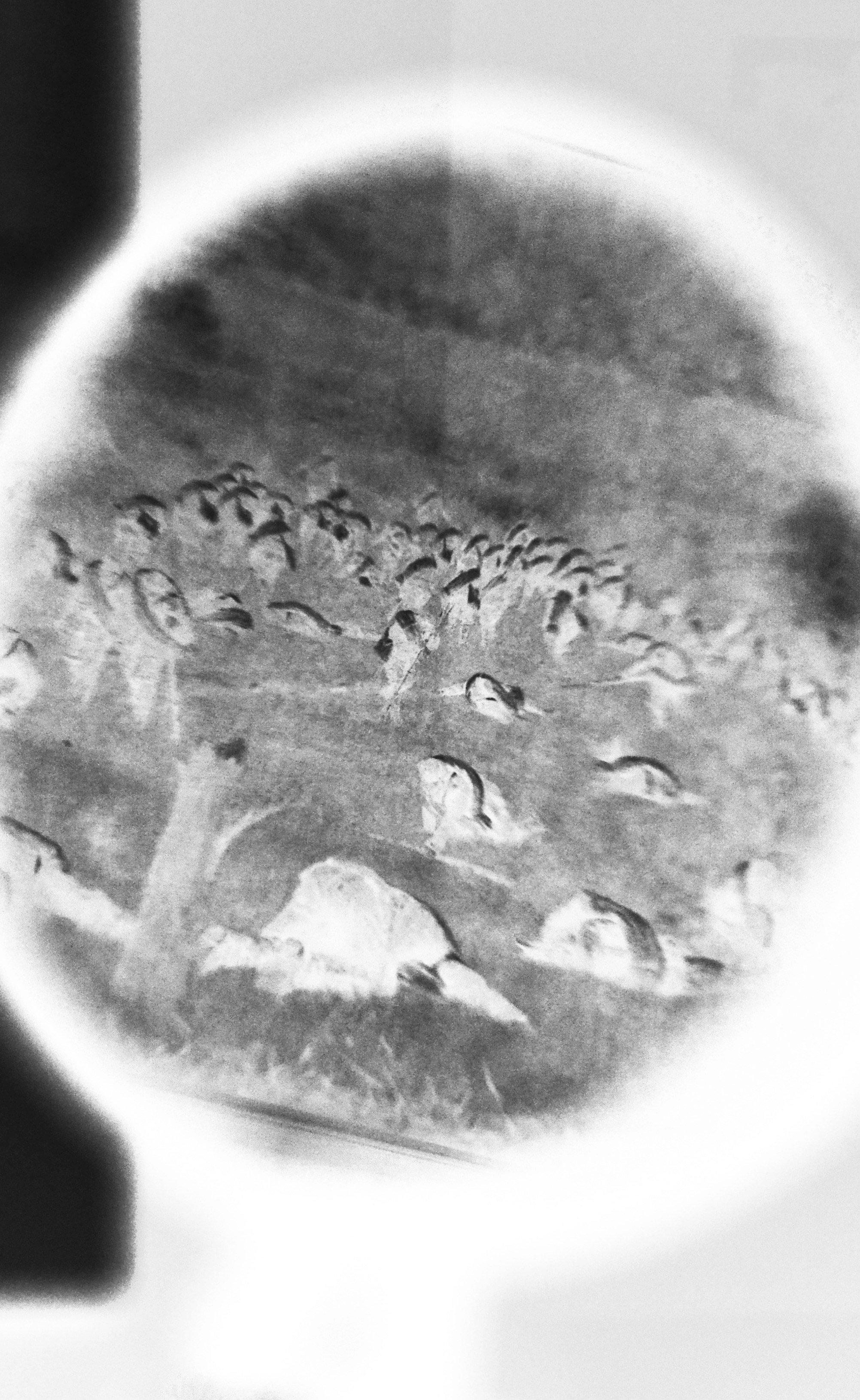 Холодный пляж. Катрин Эдельвак