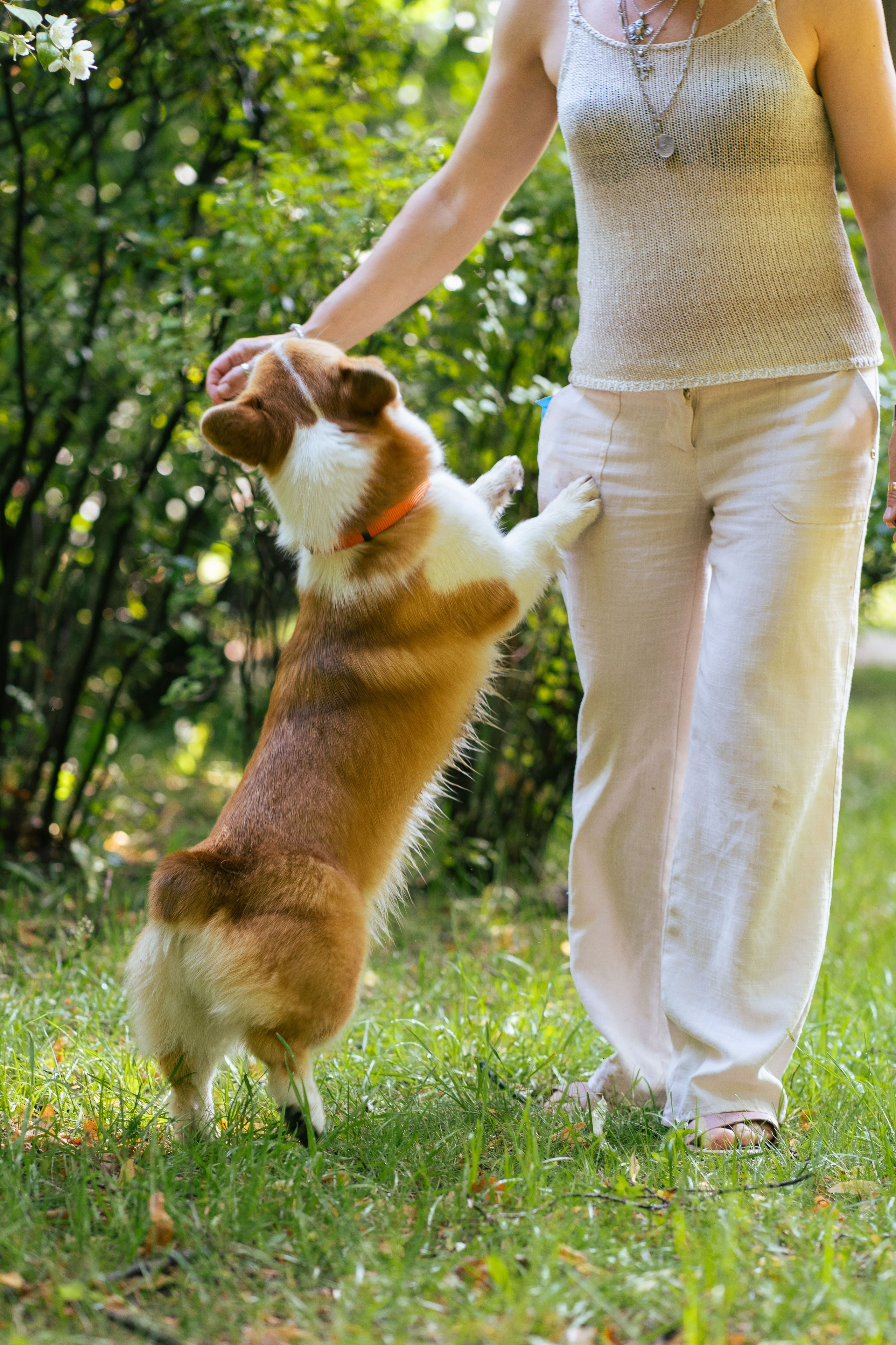 Ольга и коржики. Свадебный фотограф в Москве Анна Полушина