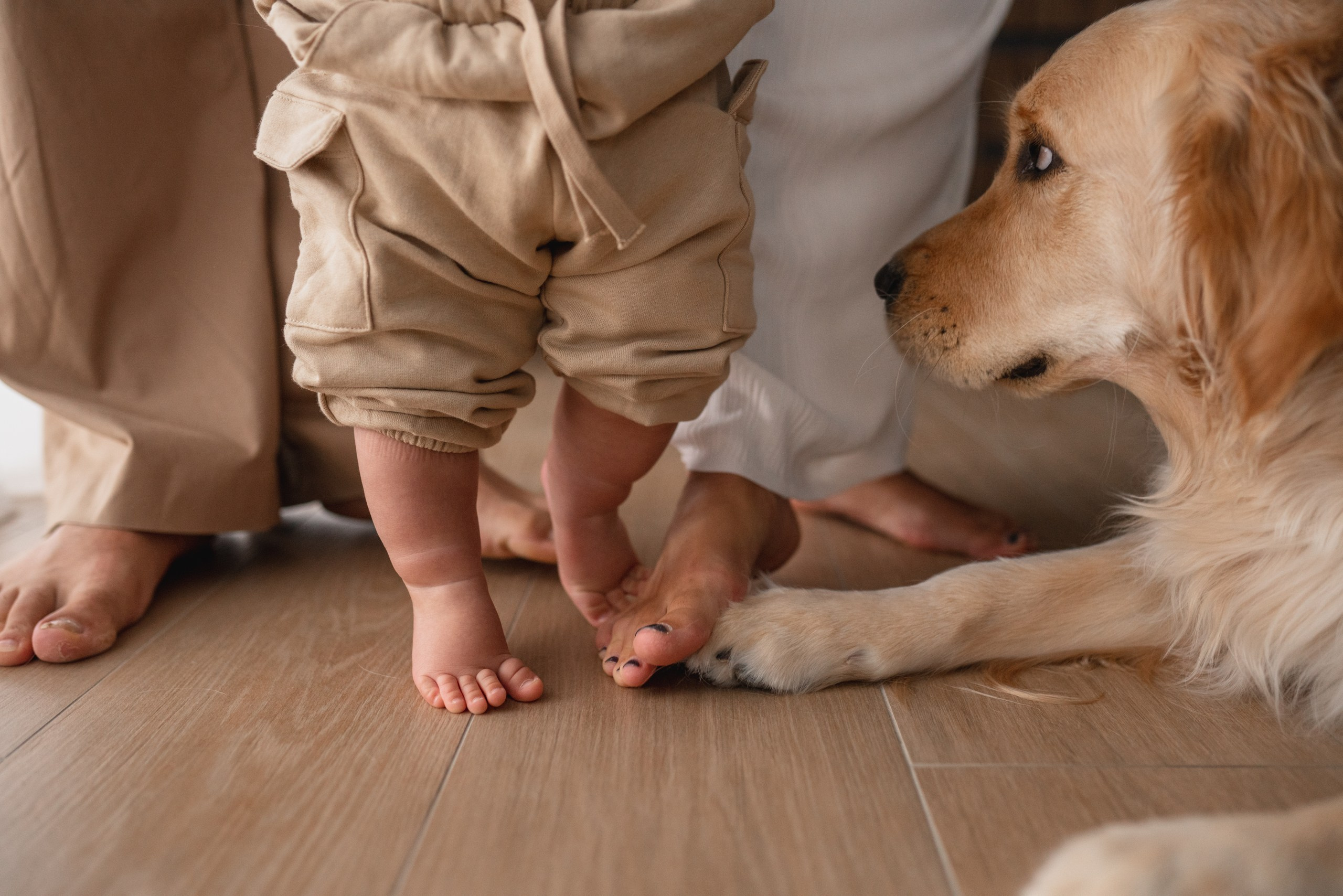 Анастасия, Егор и Тимофей. Семейный фотограф в Москве Лилия Лебедева