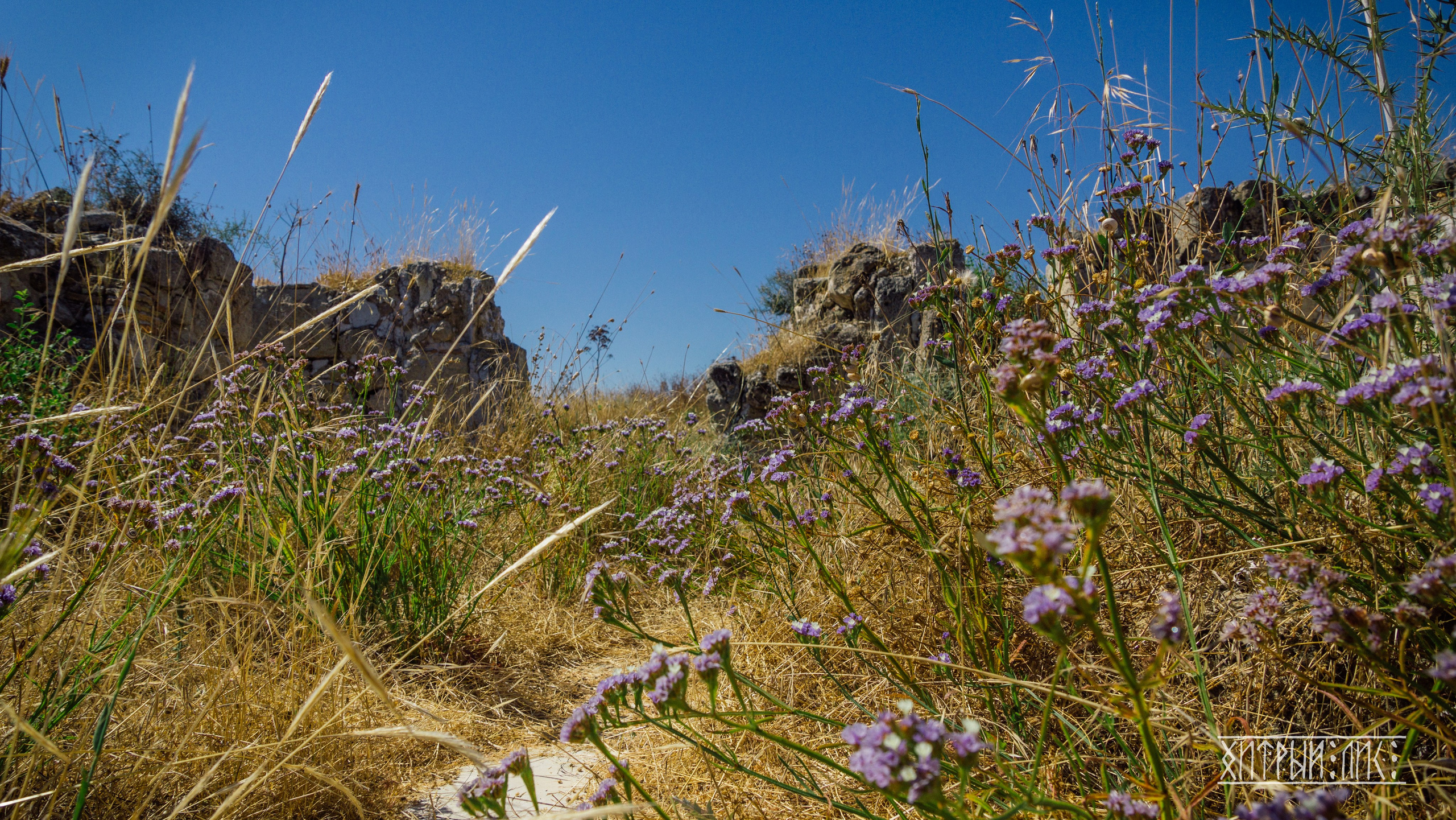 Кипр. Фотограф-путешественник Самойлов Максим «Sly Fox»