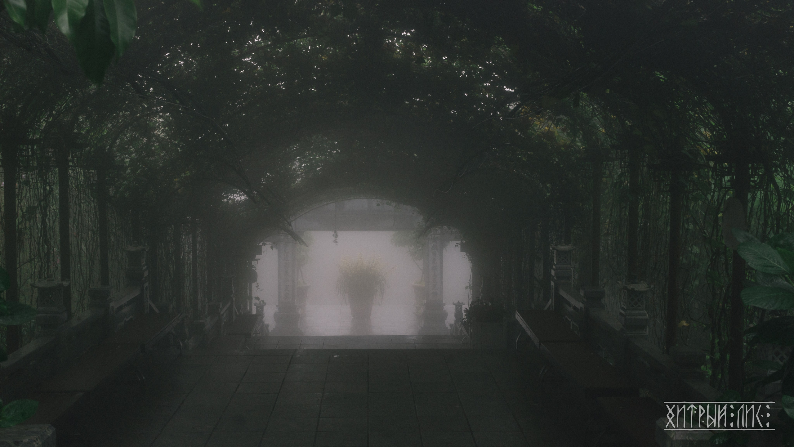 Вьетнам. Фотограф-путешественник Самойлов Максим «Sly Fox»